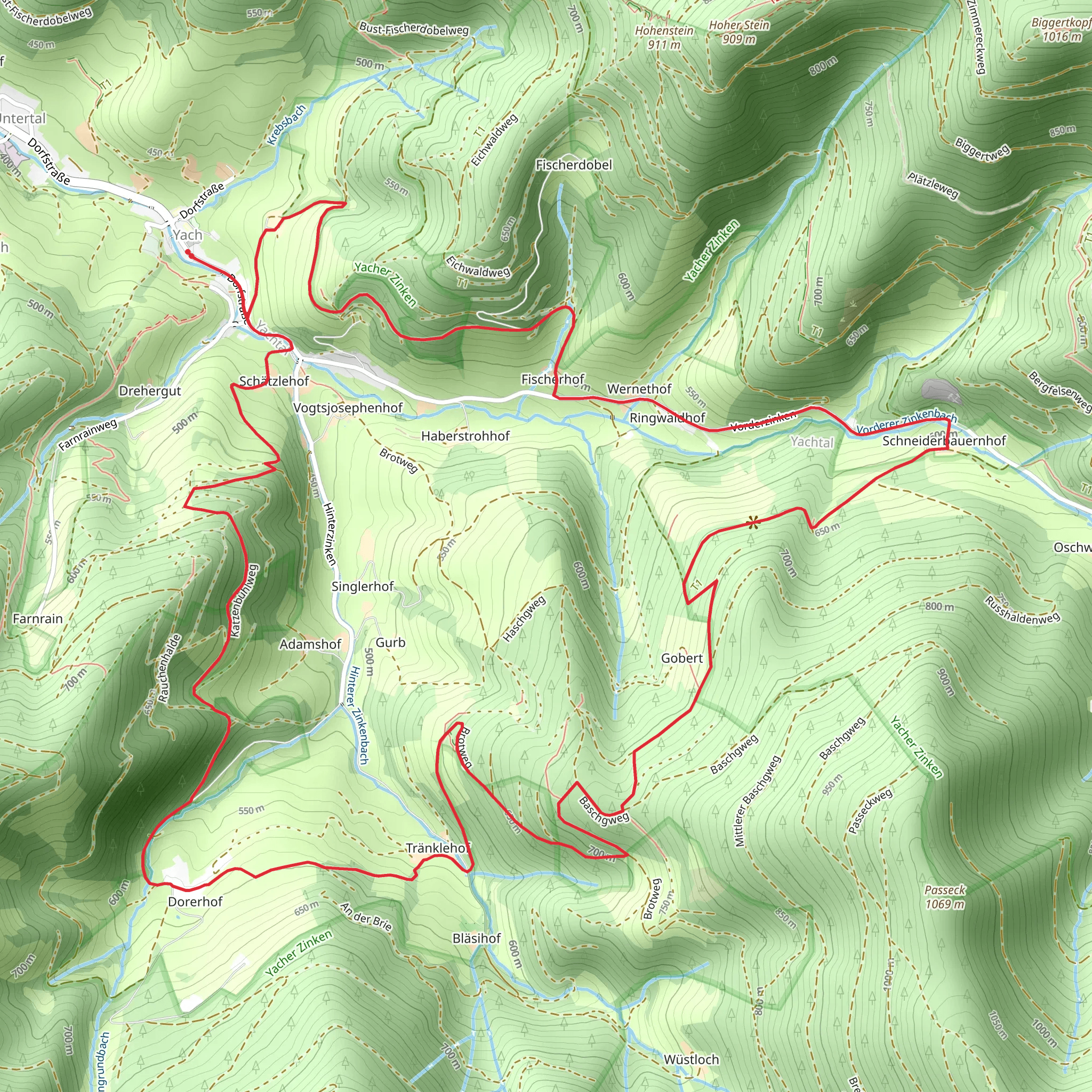 Hirtenweg and Katzenbühlweg Loop mobile static map
