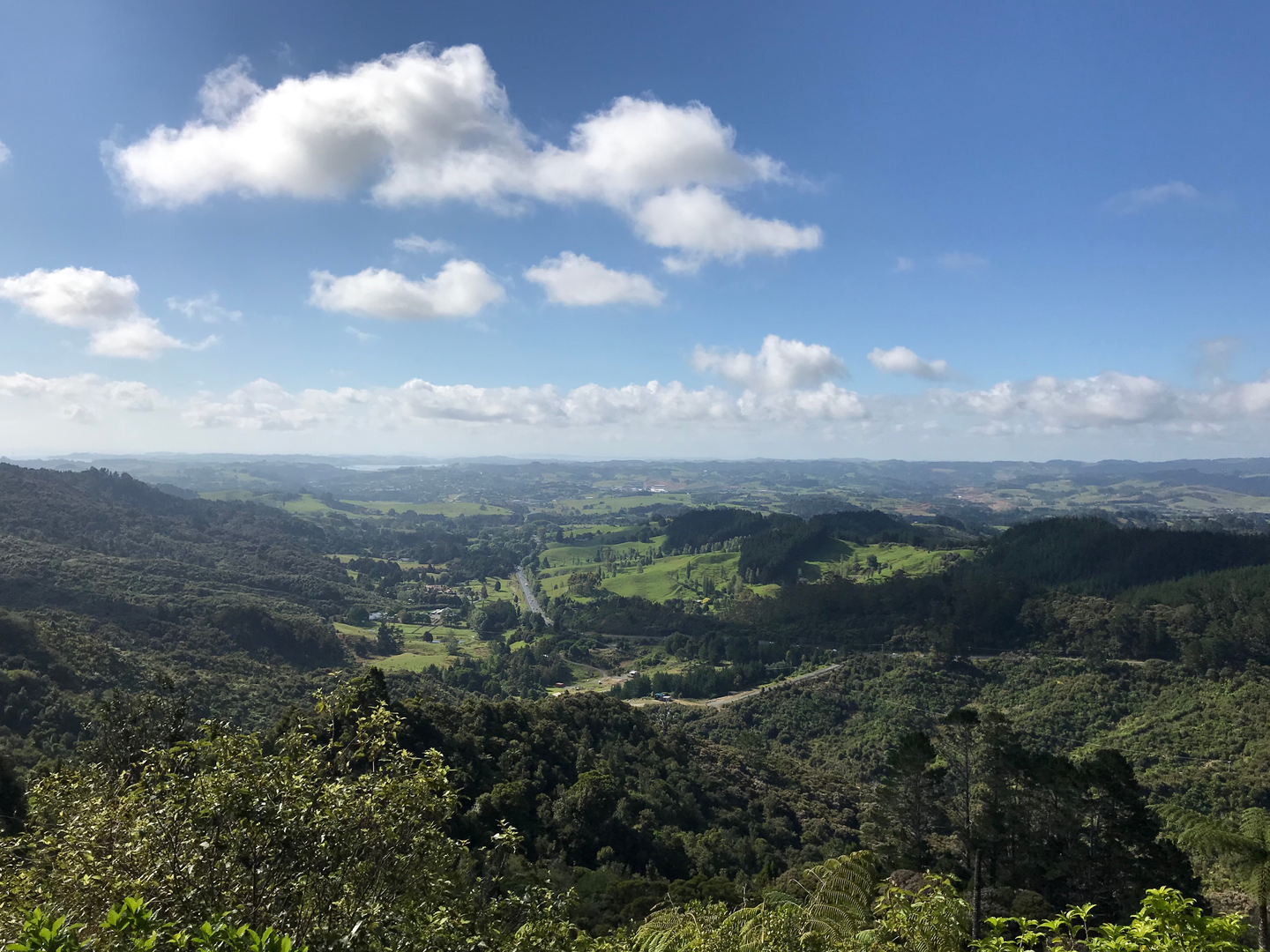 An image depicting the trail Dome Forest Lookout and its surrounding area.