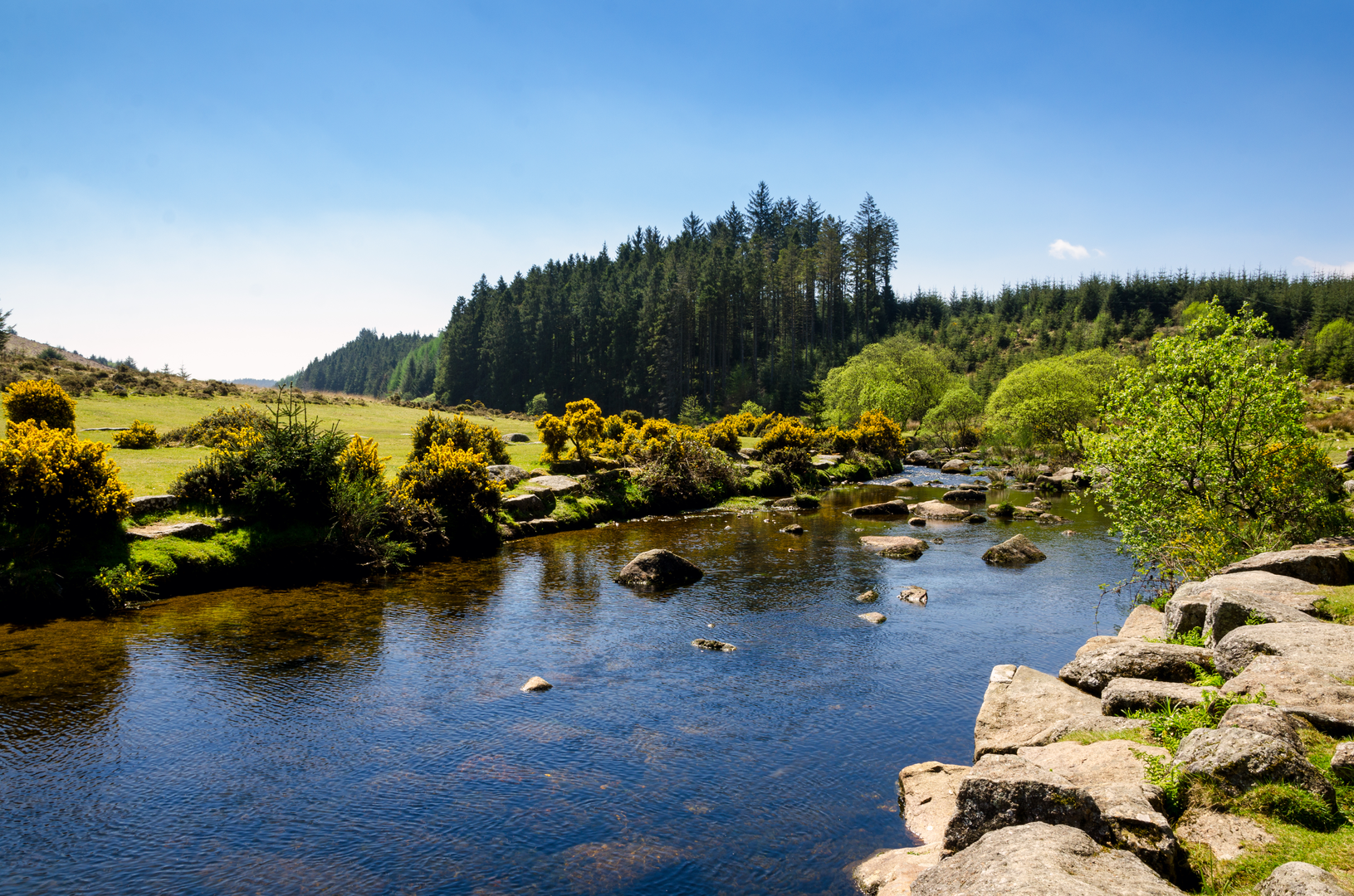 An image depicting the trail Bellever Forest Route and its surrounding area.