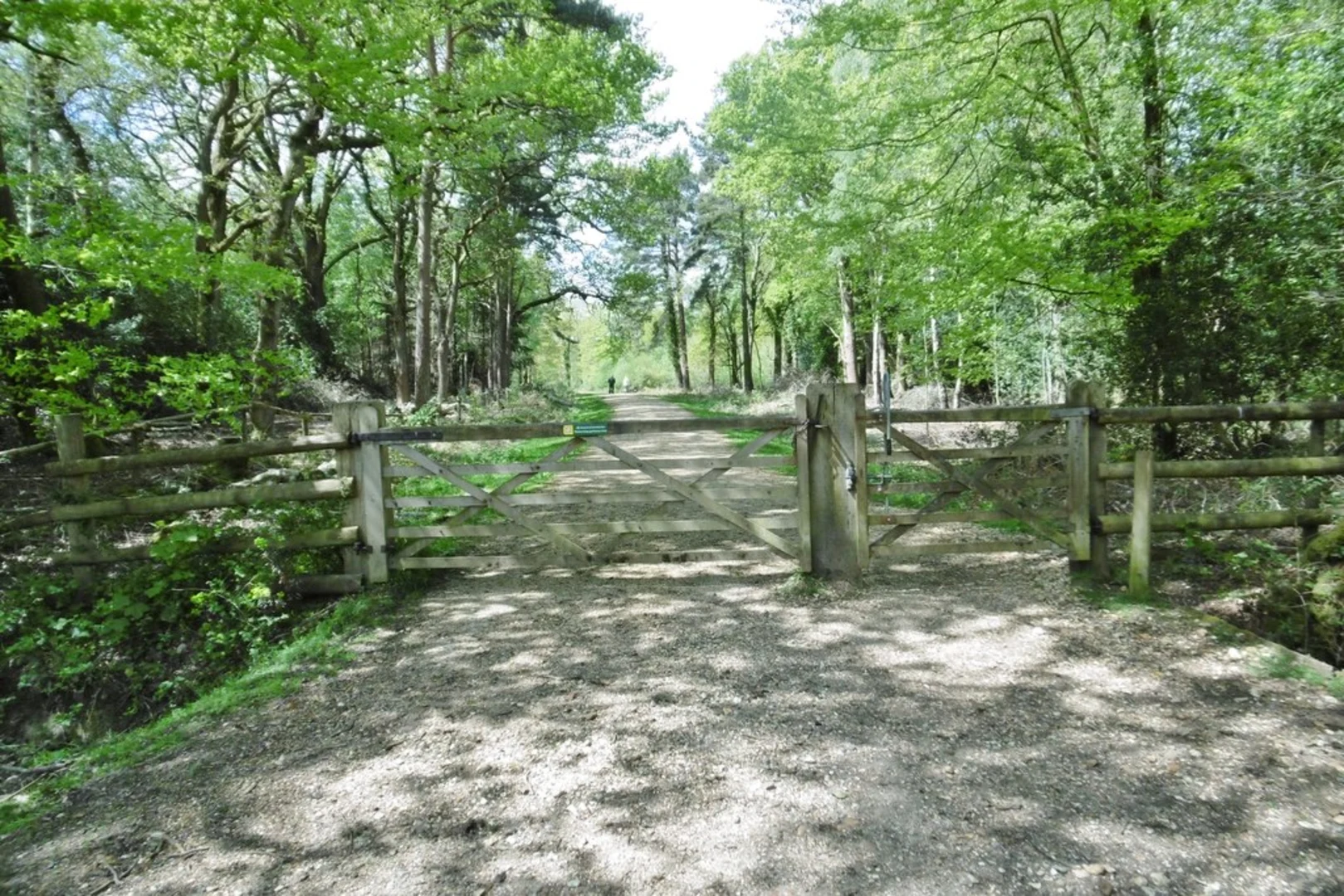 An image depicting the trail Set Thorns Inclosure via Southampton and Dorchester Railway and its surrounding area.
