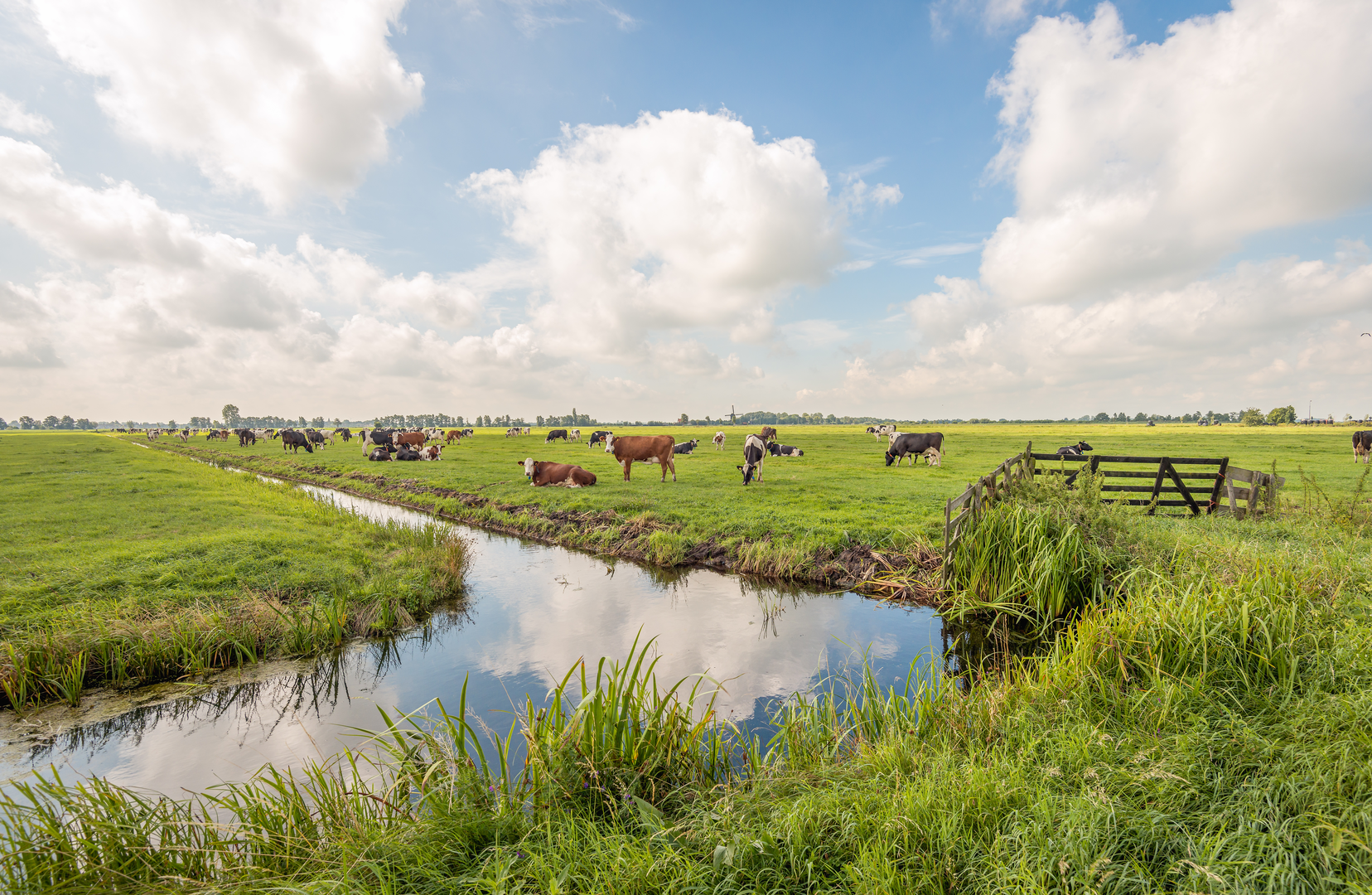 An image depicting the trail Schoonven to Nieuwegein Zuid via Tiend Weg and Lekdijk oost and its surrounding area.