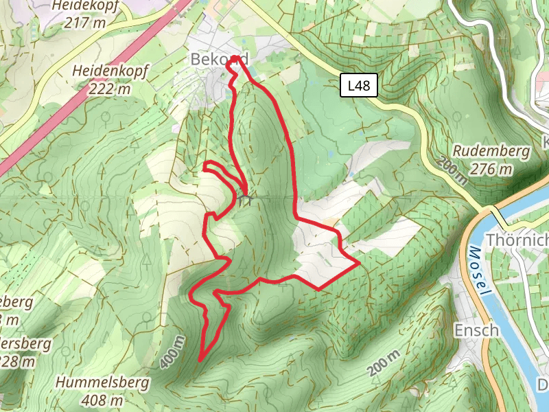 Enscher Wald Loop