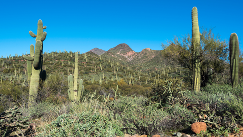 An image depicting the trail Cave Creek Trail and its surrounding area.