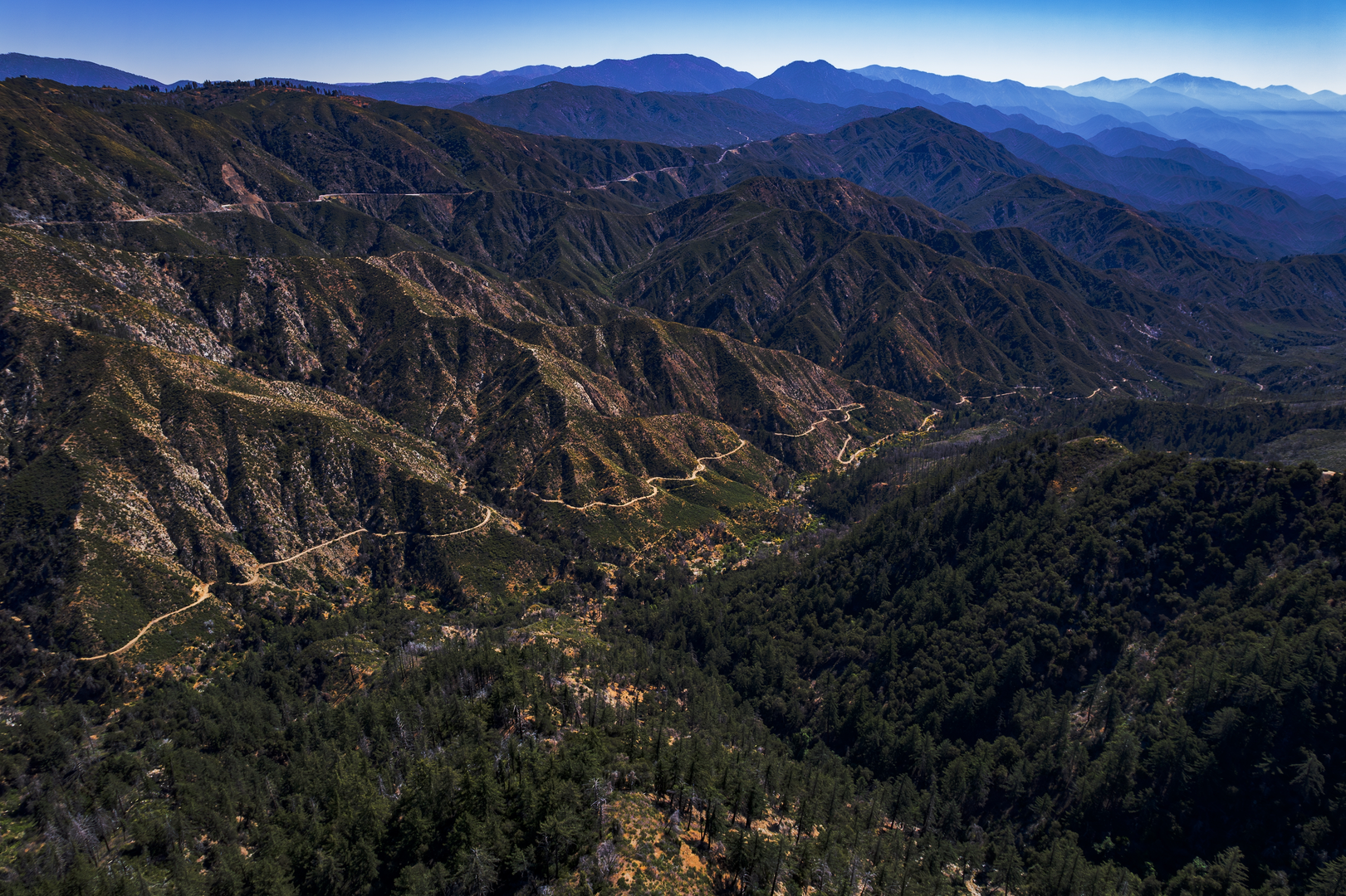 An image depicting the trail Devils Canyon Trail from Angeles Crest Highway and its surrounding area.