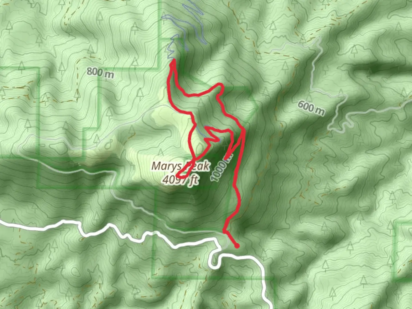 An image depicting the trail Marys Peak, Tie amd East Ridge Loop Trail and its surrounding area.