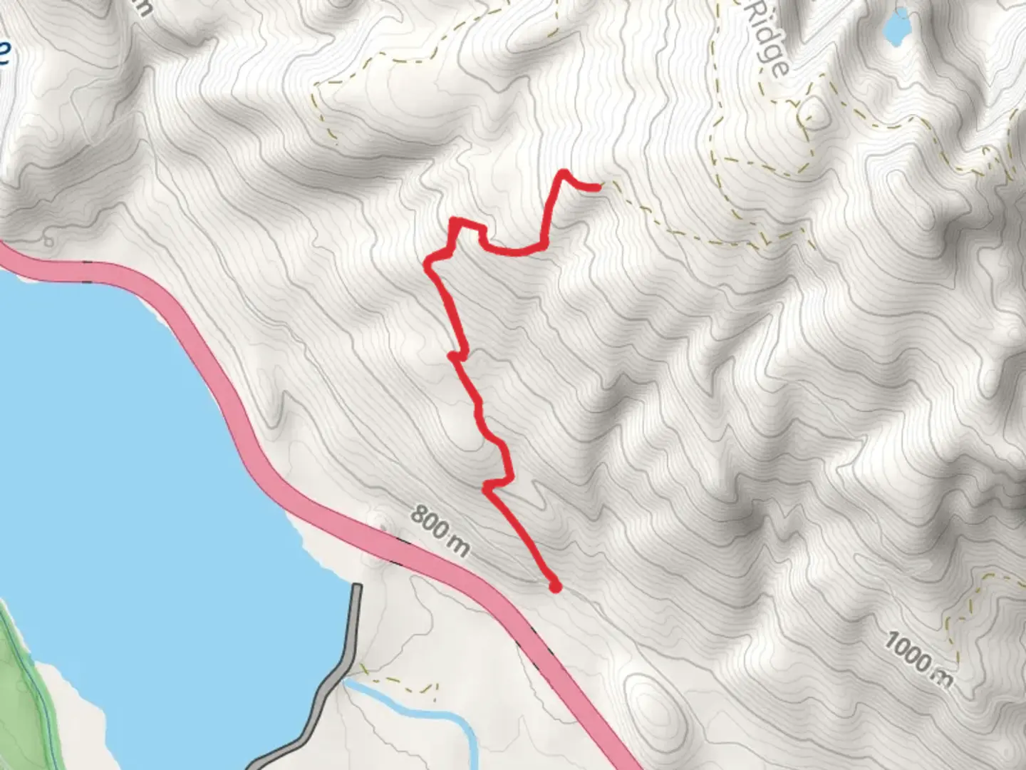 An image depicting the trail Walk beside Price Creek and its surrounding area.