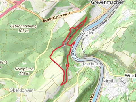 Deisermillen and Machtum Loop