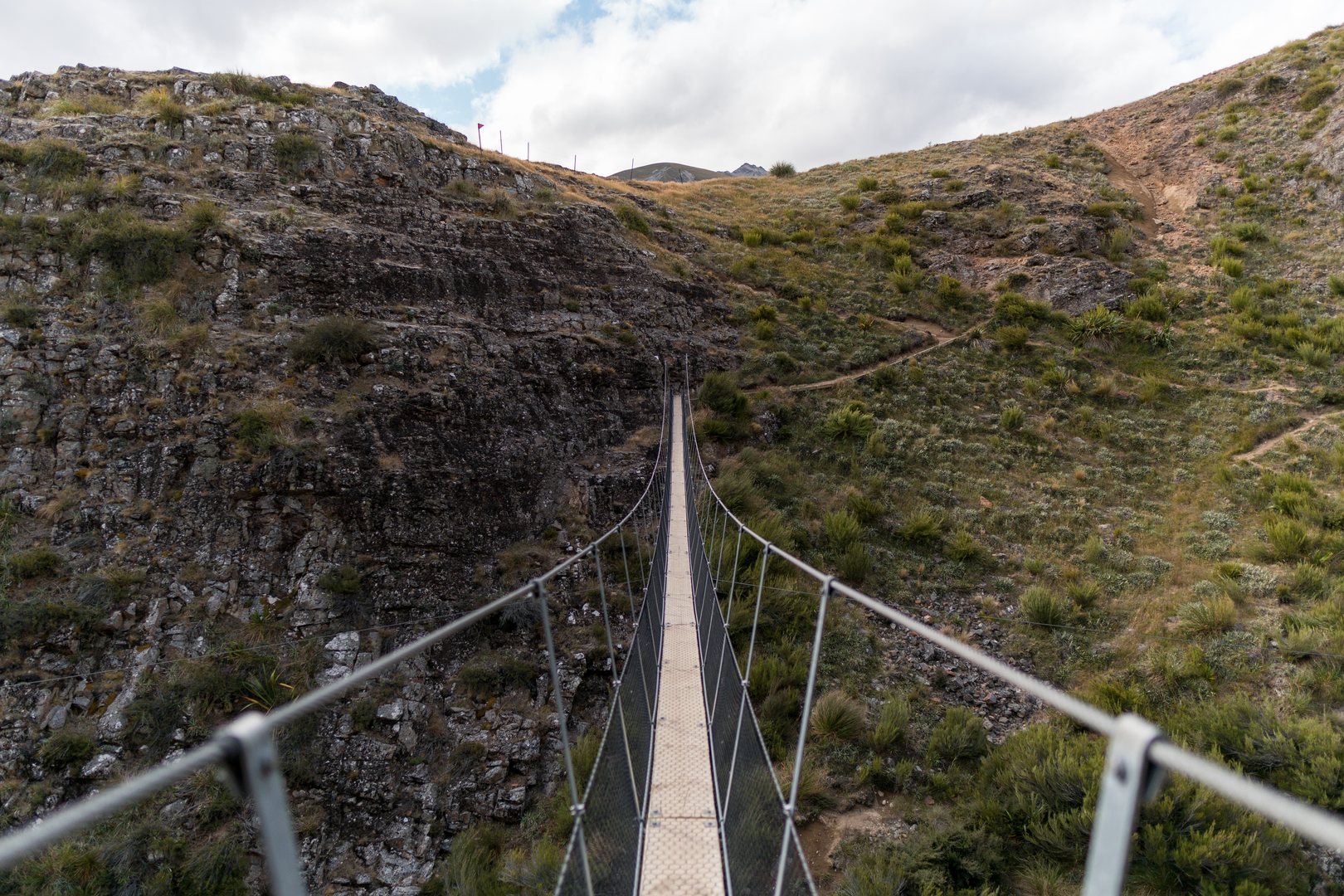 An image depicting the trail Mount Somers Track and its surrounding area.