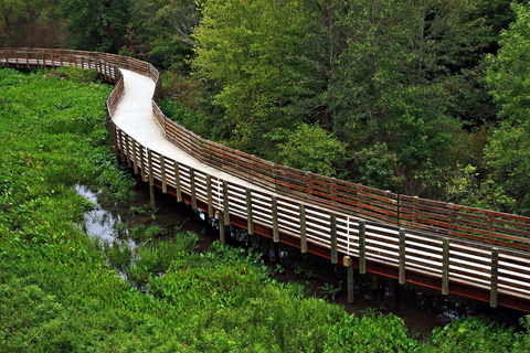 An image depicting the trail Silver Comet Trail and its surrounding area.