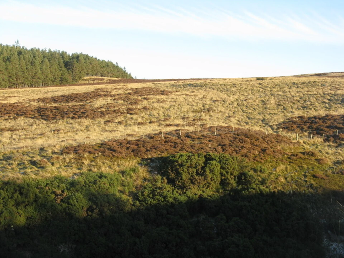 An image depicting the trail Bonaly Country Park Loop and its surrounding area.