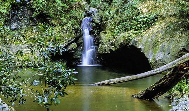 An image depicting the trail Tapin Tops National Park and its surrounding area.