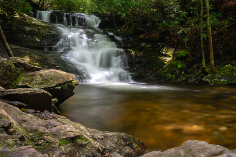 An image depicting the trail Big Laurel Falls Trail and its surrounding area.