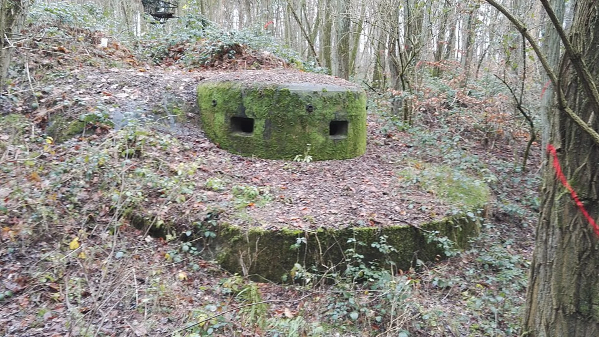 An image depicting the trail Ueber die Doerder Wanderweg and its surrounding area.