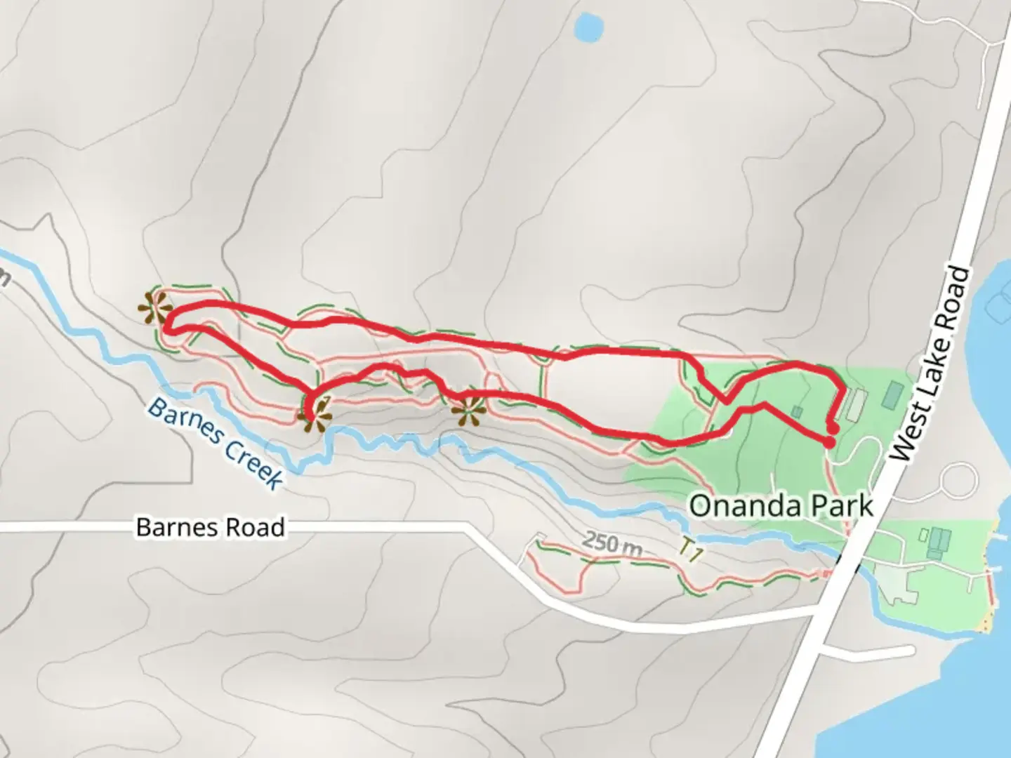 An image depicting the trail Onanda Park Uplands Trail and its surrounding area.