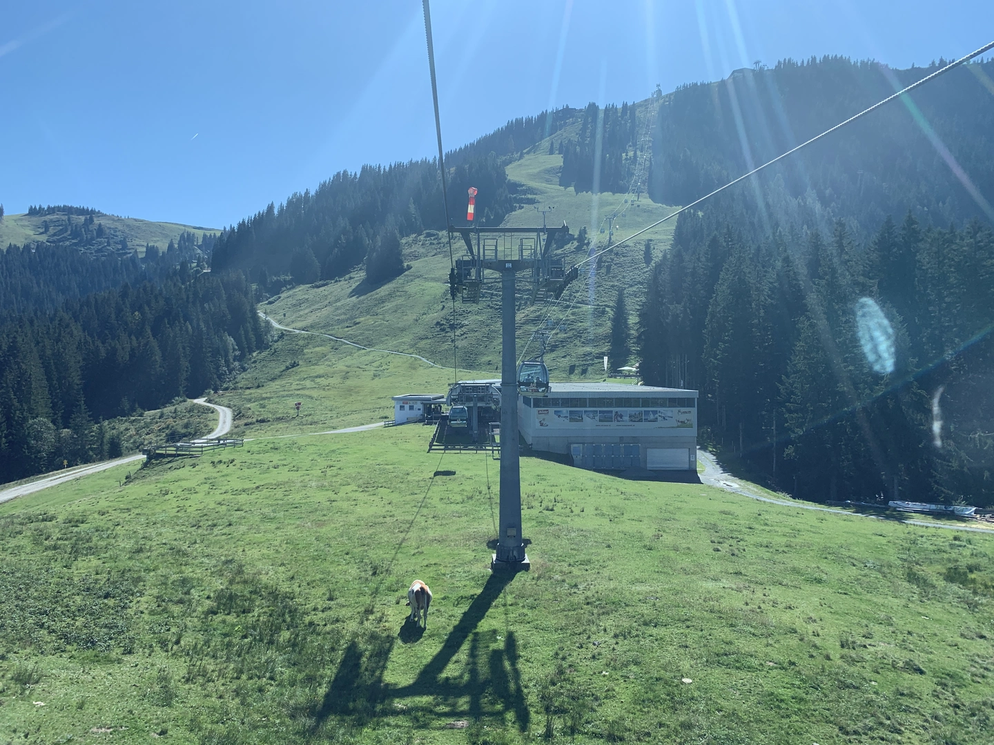 An image depicting the trail Marktschellenberg to Hallein via Arnoweg and its surrounding area.