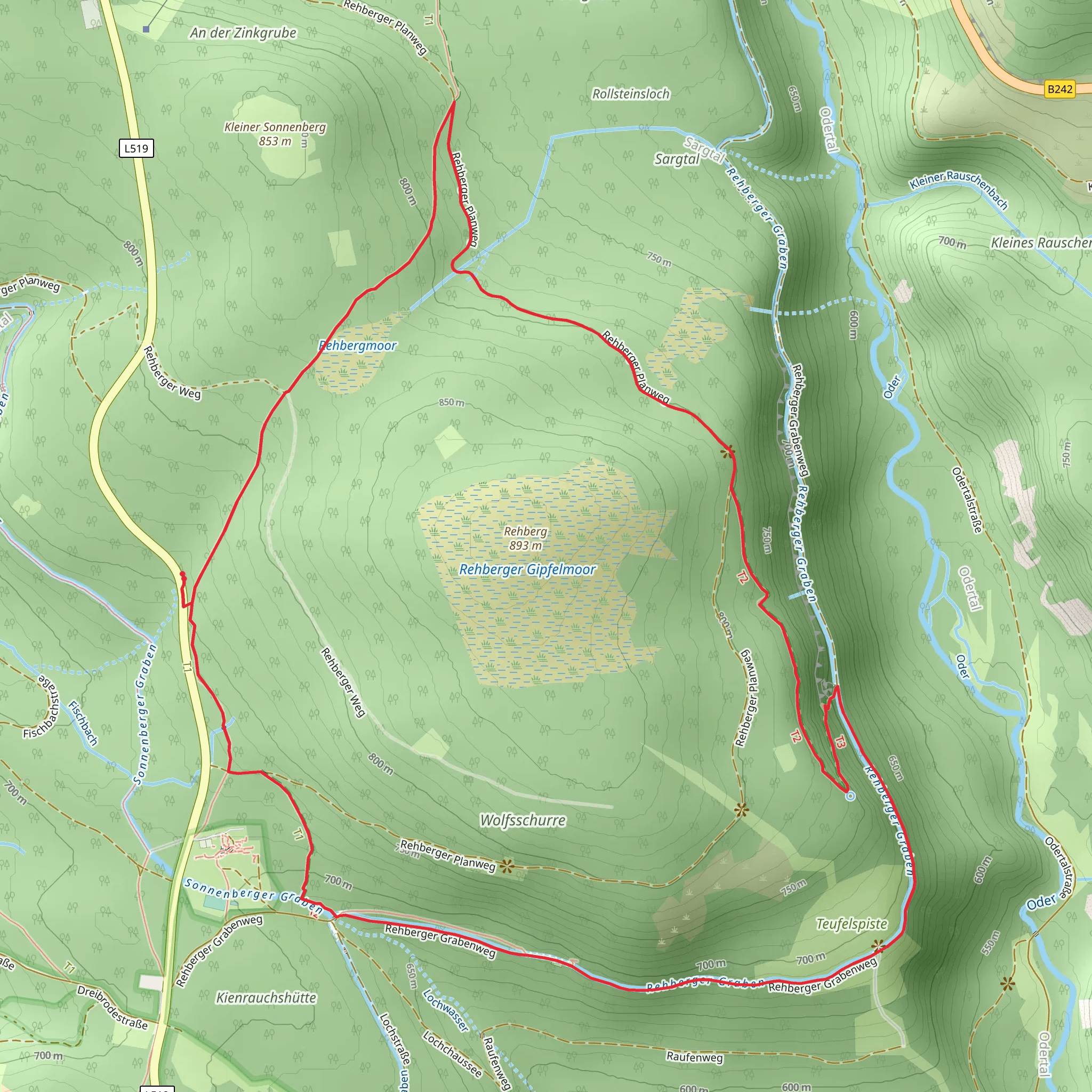 Harzburger Weg, Rehberger Grabenweg and Hohe-Klippen-Weg Loop mobile static map