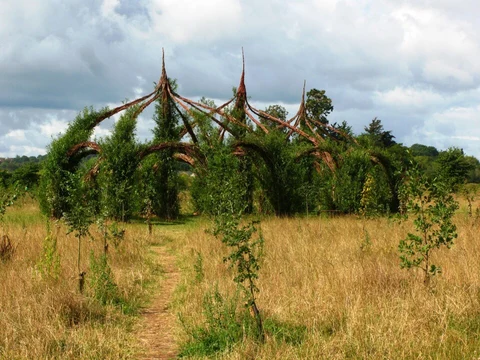 An image depicting the trail Longrun Meadow Loop and its surrounding area.