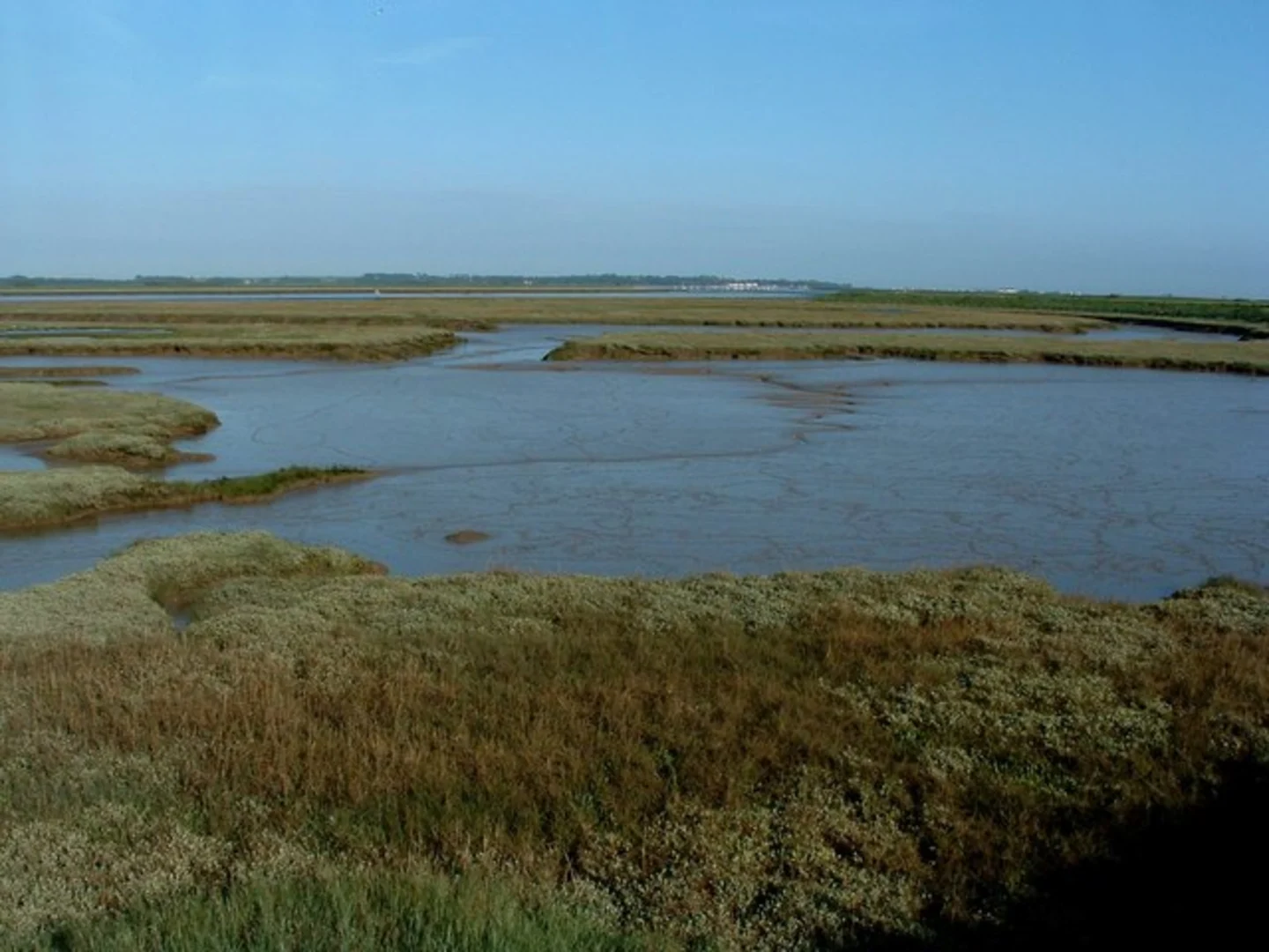 An image depicting the trail Felixstowe and Falkenham Marshes Loop and its surrounding area.