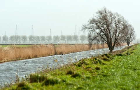 De Witte Duinen, Bankven, Uitzichttoren and Rovertsche Heide Loop