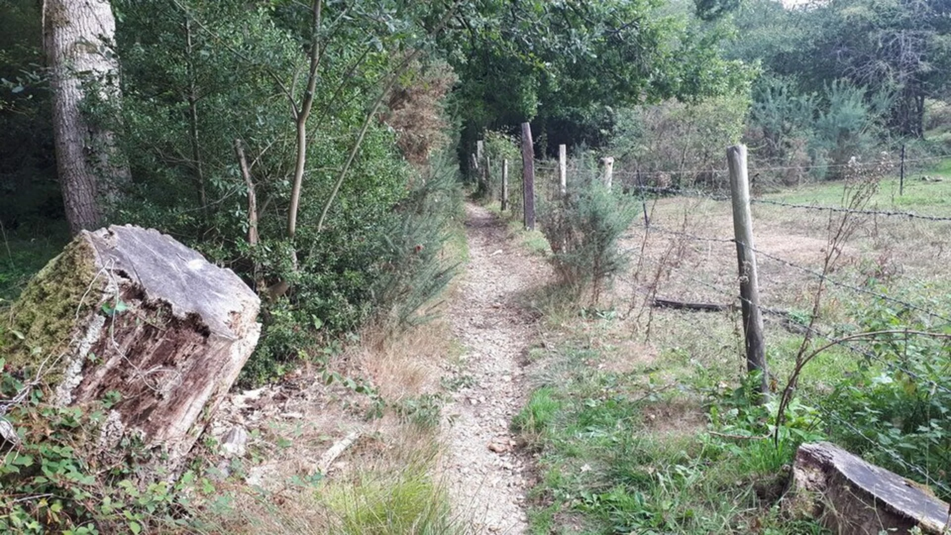 An image depicting the trail Four Marks to Upper Farringdon Loop and its surrounding area.