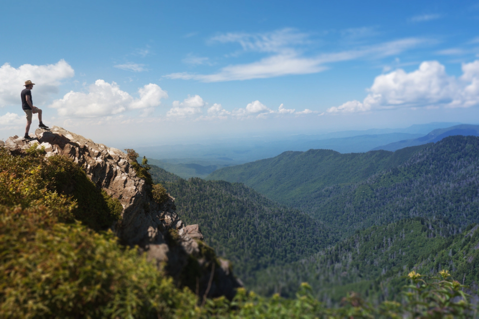 An image depicting the trail Dry Sluice Gap Trail via Bradley Fork Trail and its surrounding area.