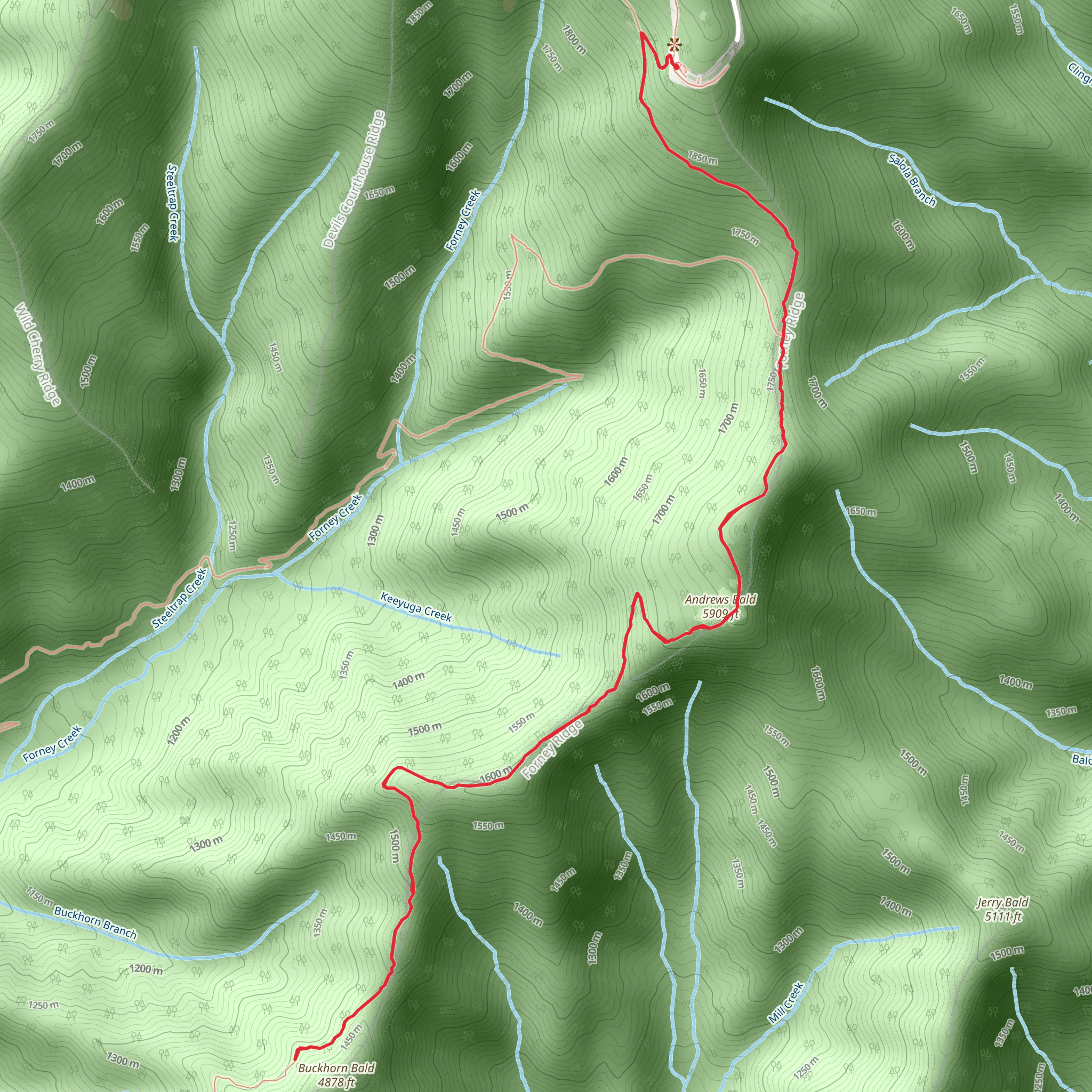 Andrews Bald and Buckhorn Bald via Forney Ridge Trail mobile static map