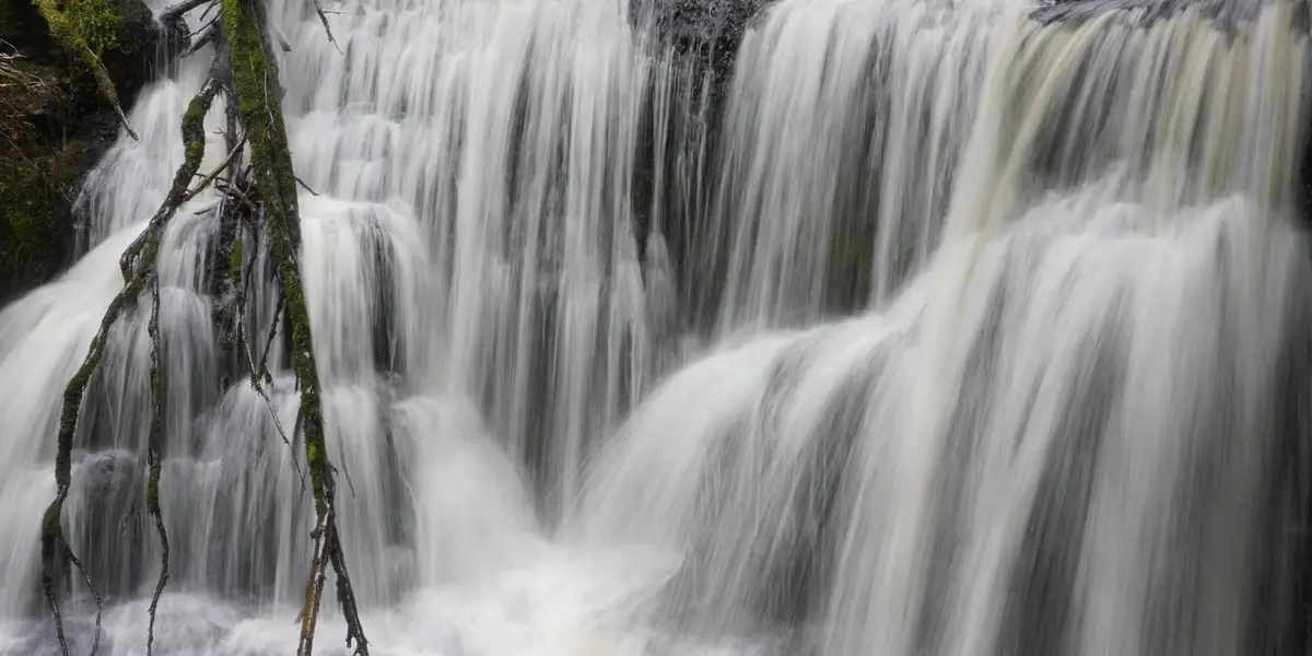Waipohatu Waterfalls Track