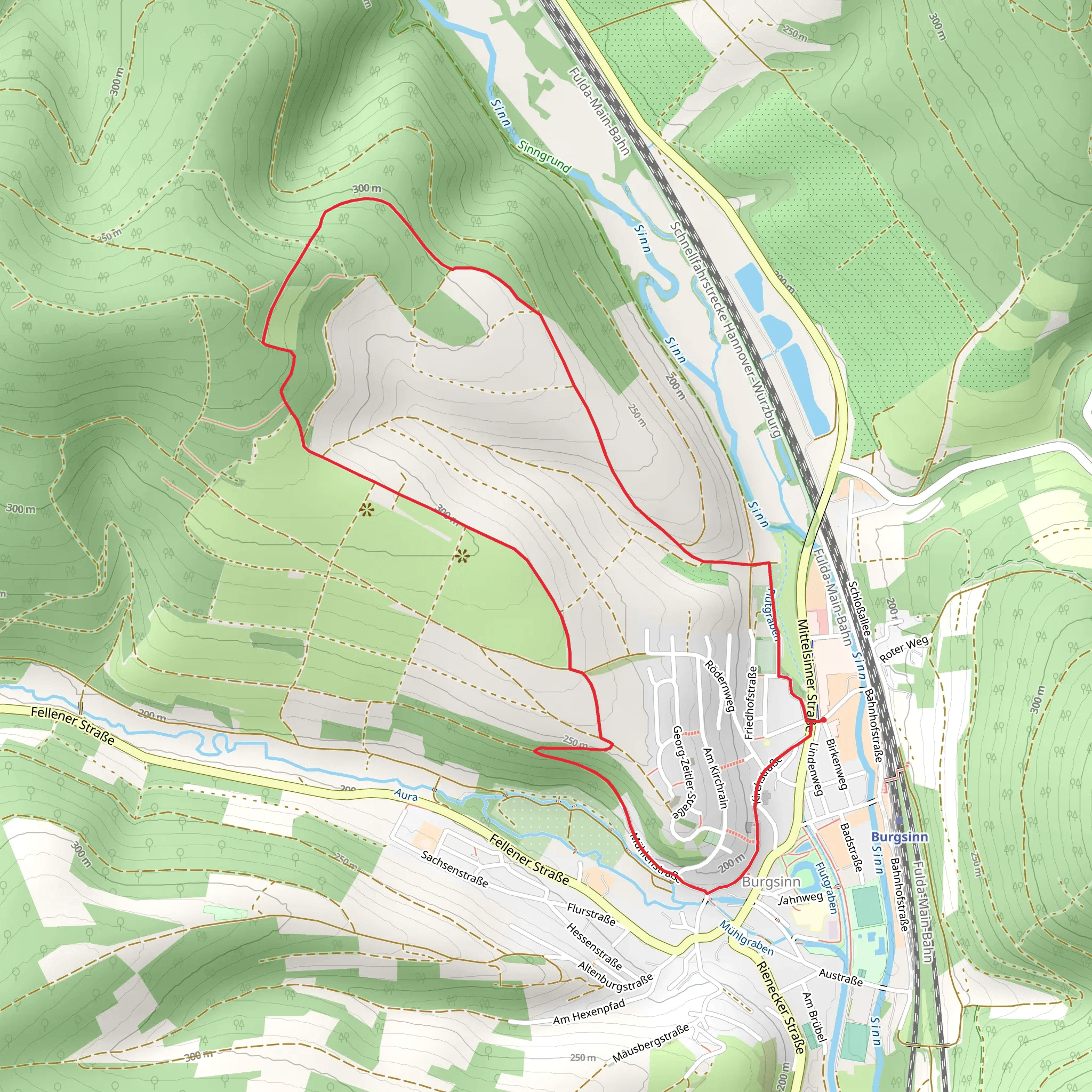 Burgsinn Loop mobile static map
