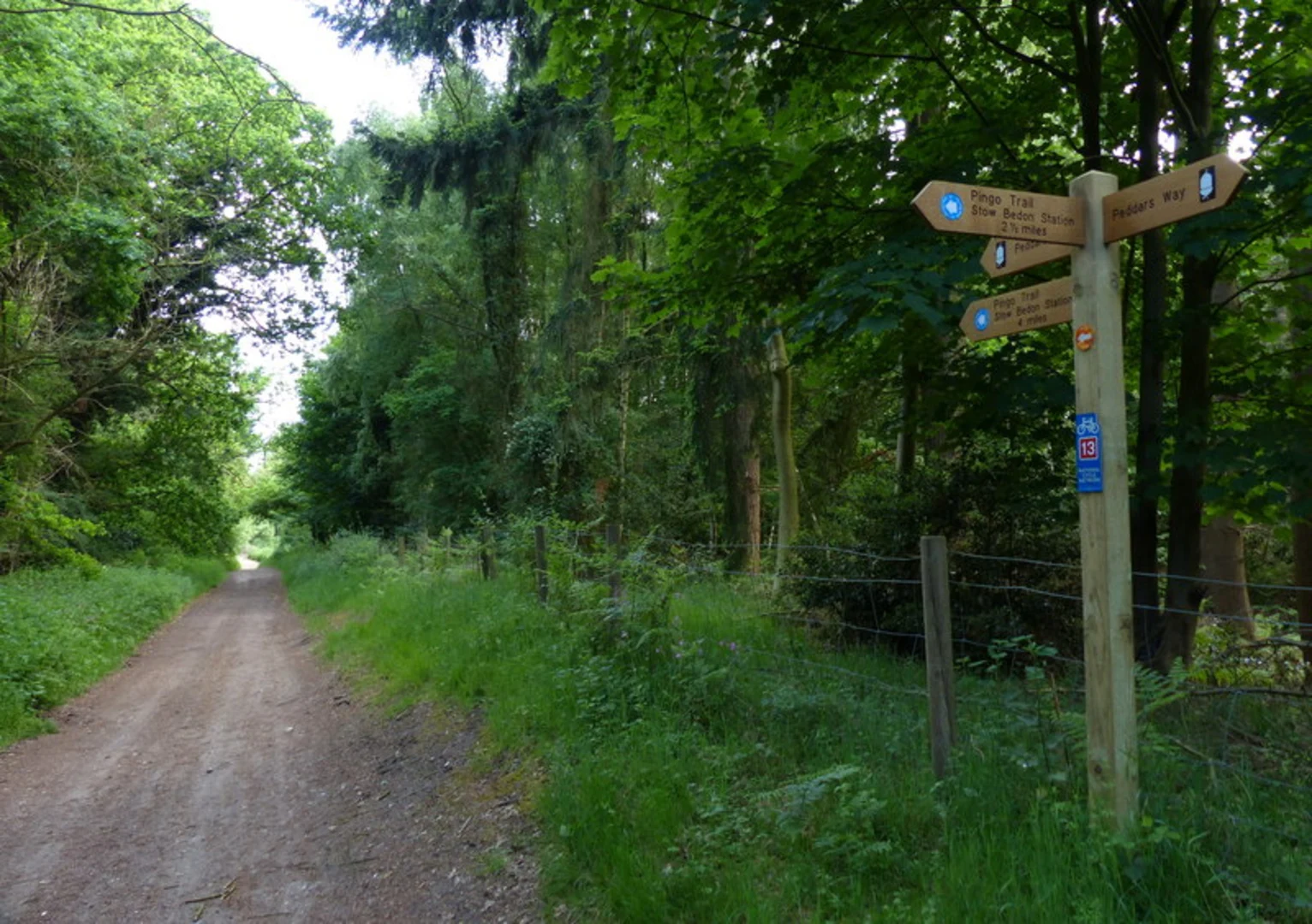 An image depicting the trail Knettishall to Thompson Walk and its surrounding area.