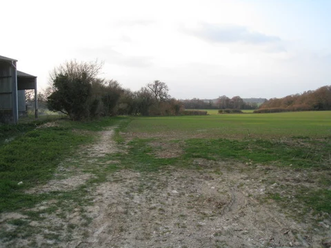 An image depicting the trail South Wood from Oakley and its surrounding area.