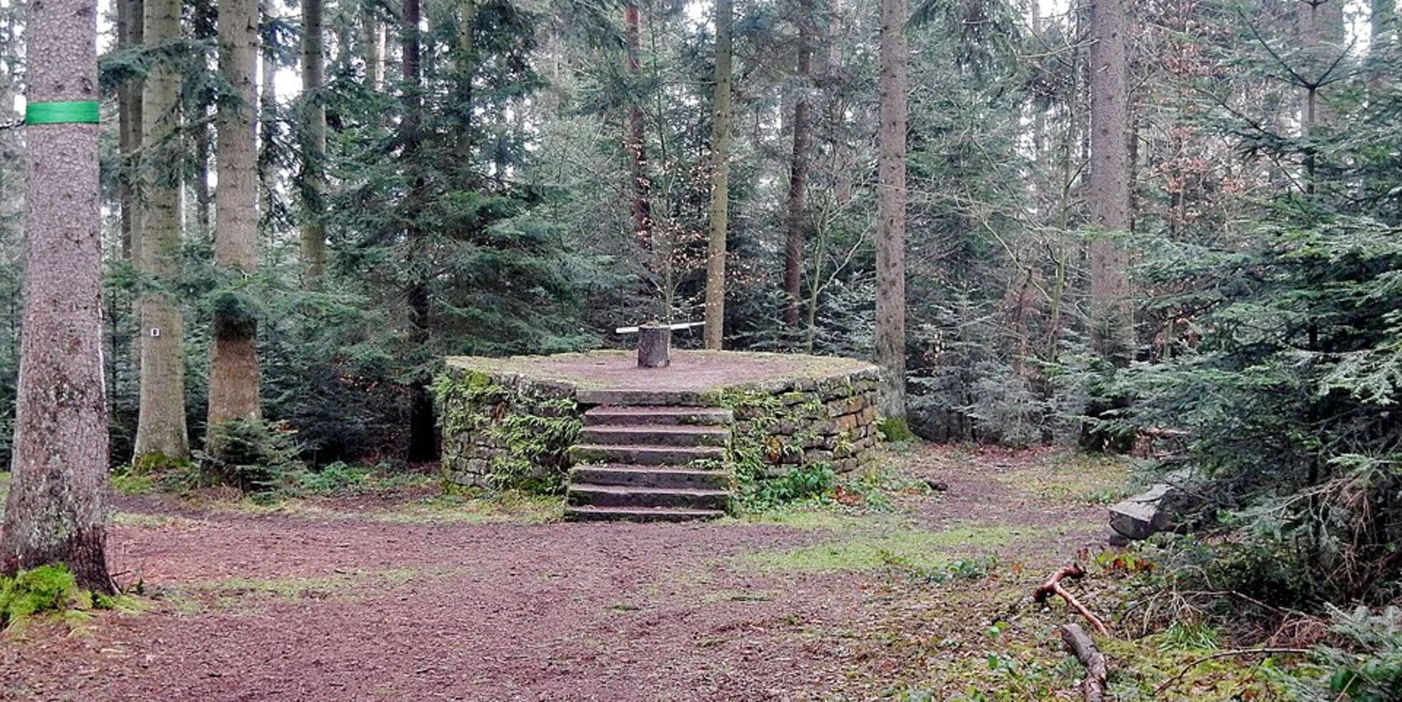 An image depicting the trail Gimpelstein via Pavillon and Ostweg and its surrounding area.
