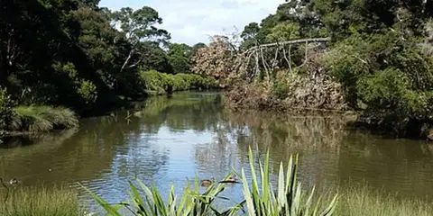 An image depicting the trail Albany Tracks and its surrounding area.