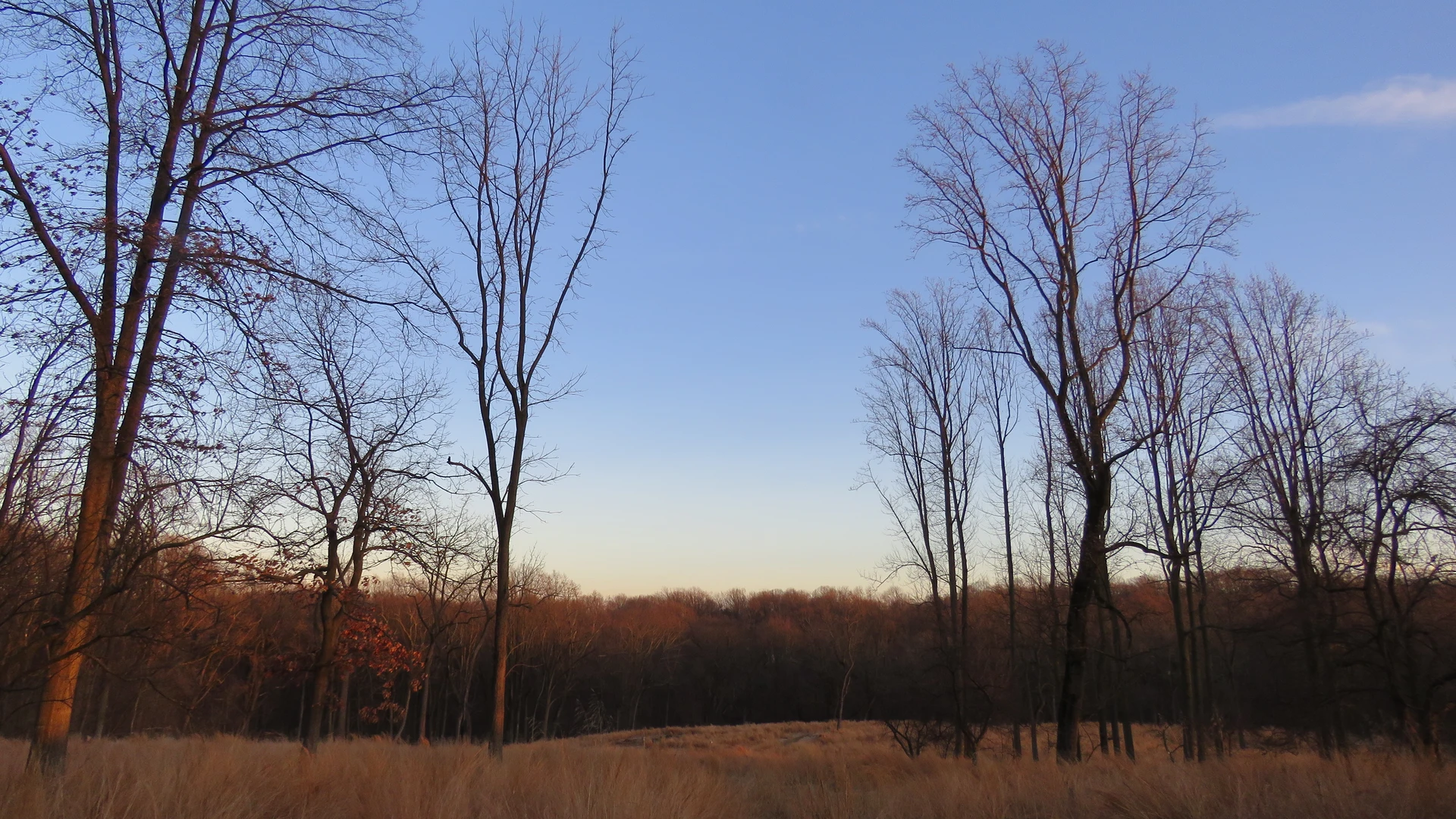 An image depicting the trail Andorra Natural Area Loop and its surrounding area.