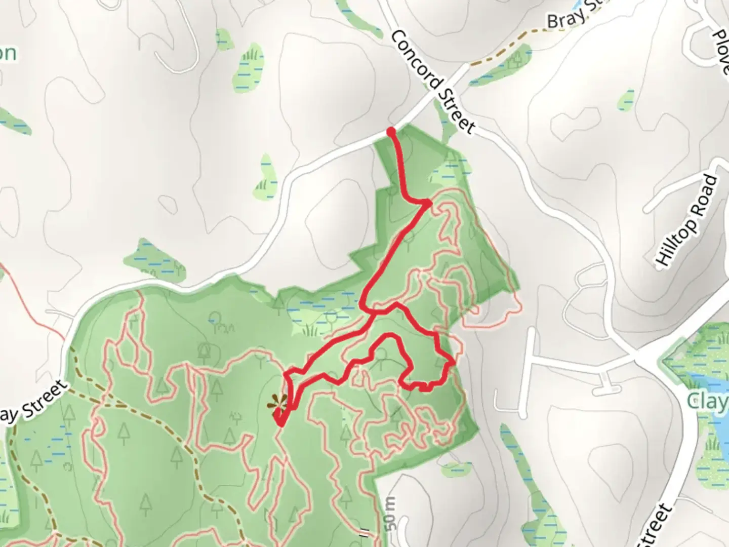 An image depicting the trail Tomposon Mountain from Bray Street and its surrounding area.