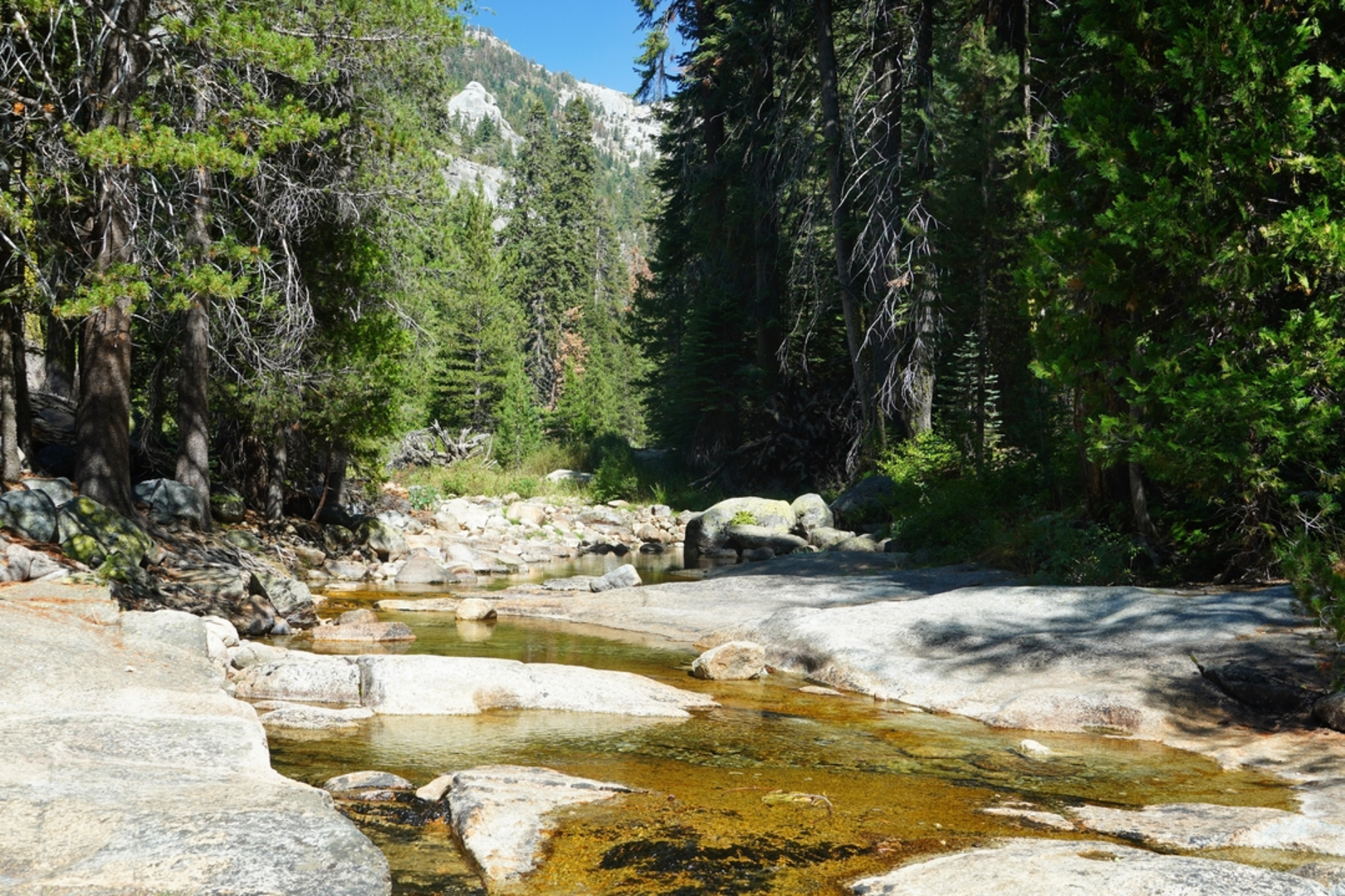 An image depicting the trail Tokopah Falls Trail and its surrounding area.