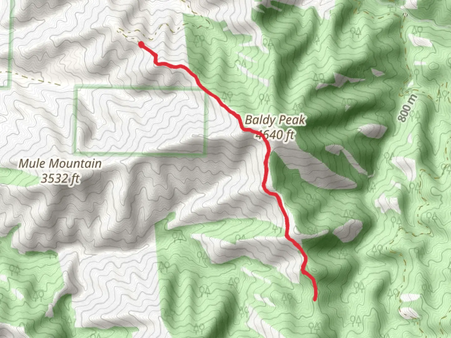 An image depicting the trail Charlie Buck - Baldy Peak Trail and its surrounding area.