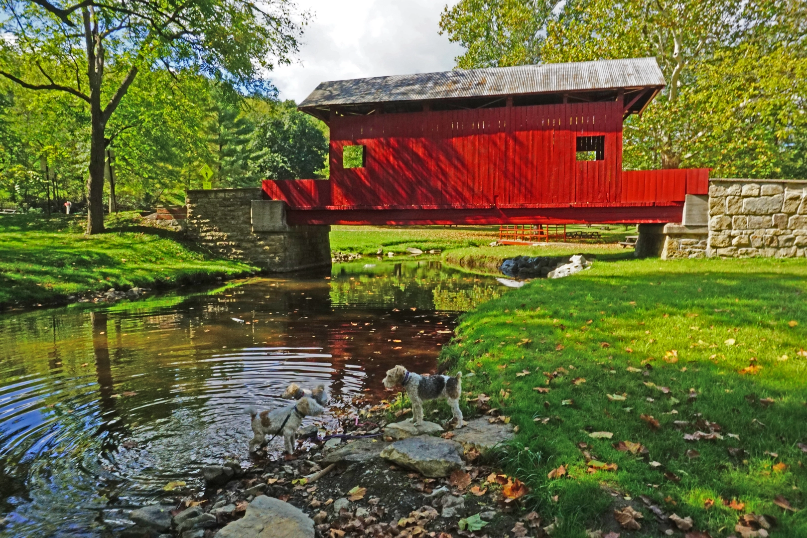 An image depicting the trail Orange Trail via Mingo Creek Road and its surrounding area.
