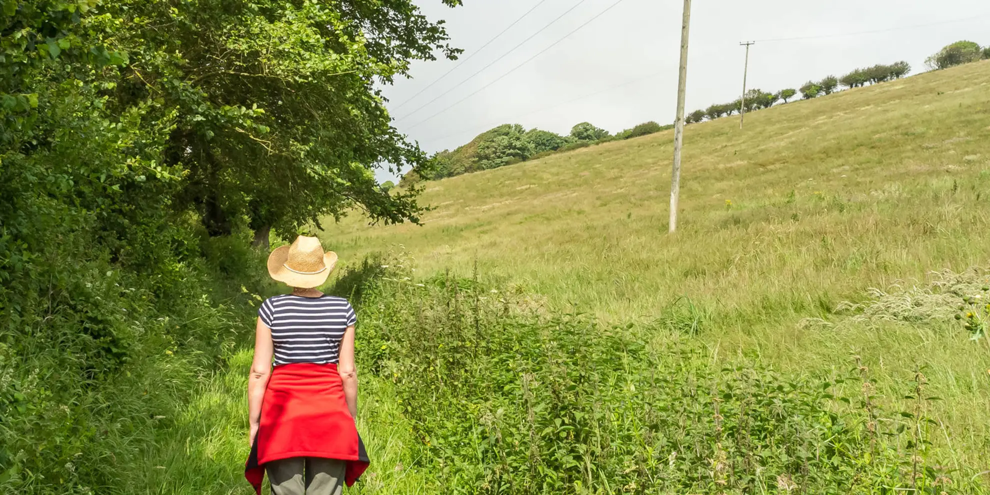 An image depicting the trail Torcross Walk and its surrounding area.