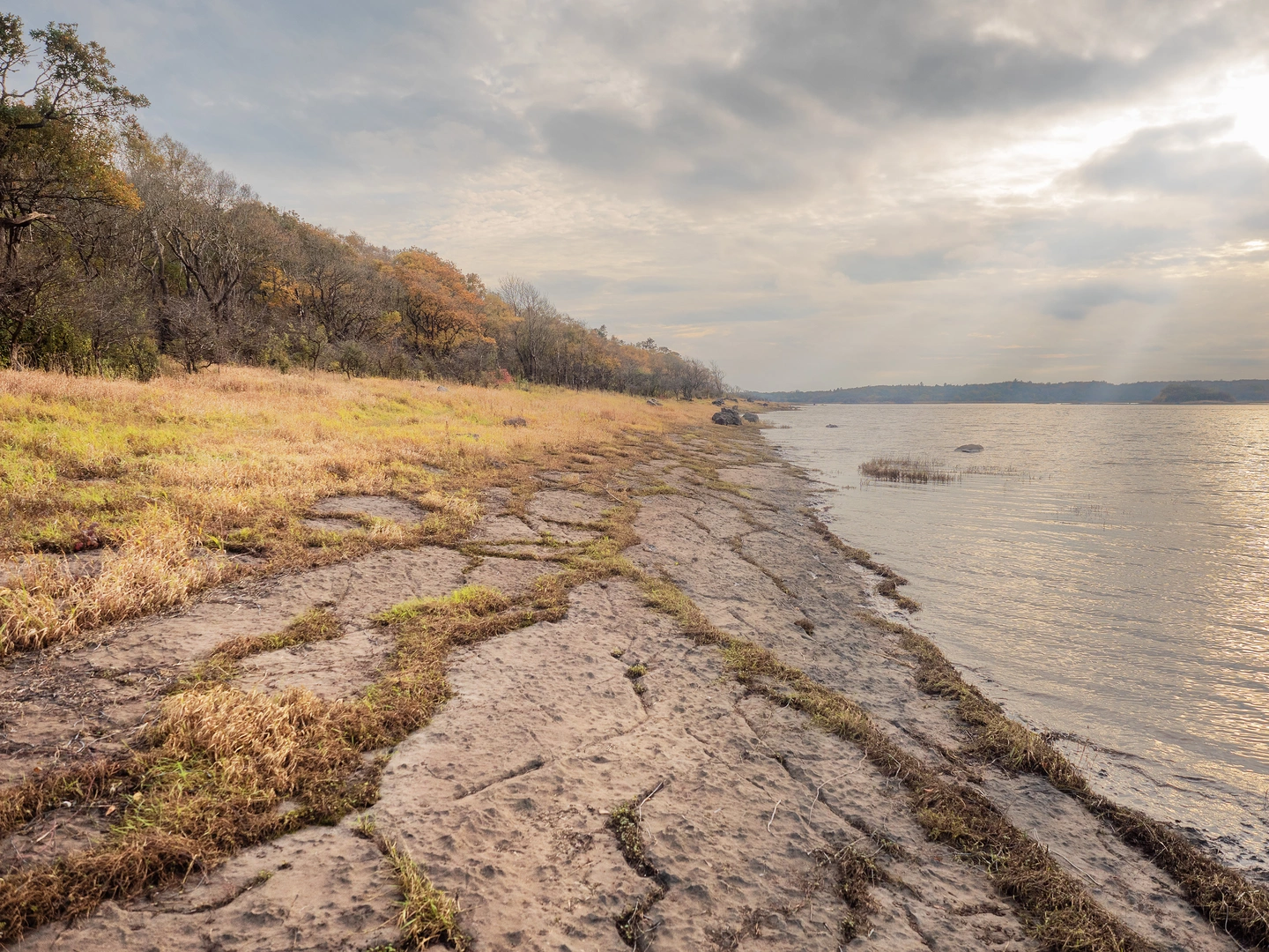 An image depicting the trail Coole Park 7 Woods Trail and its surrounding area.