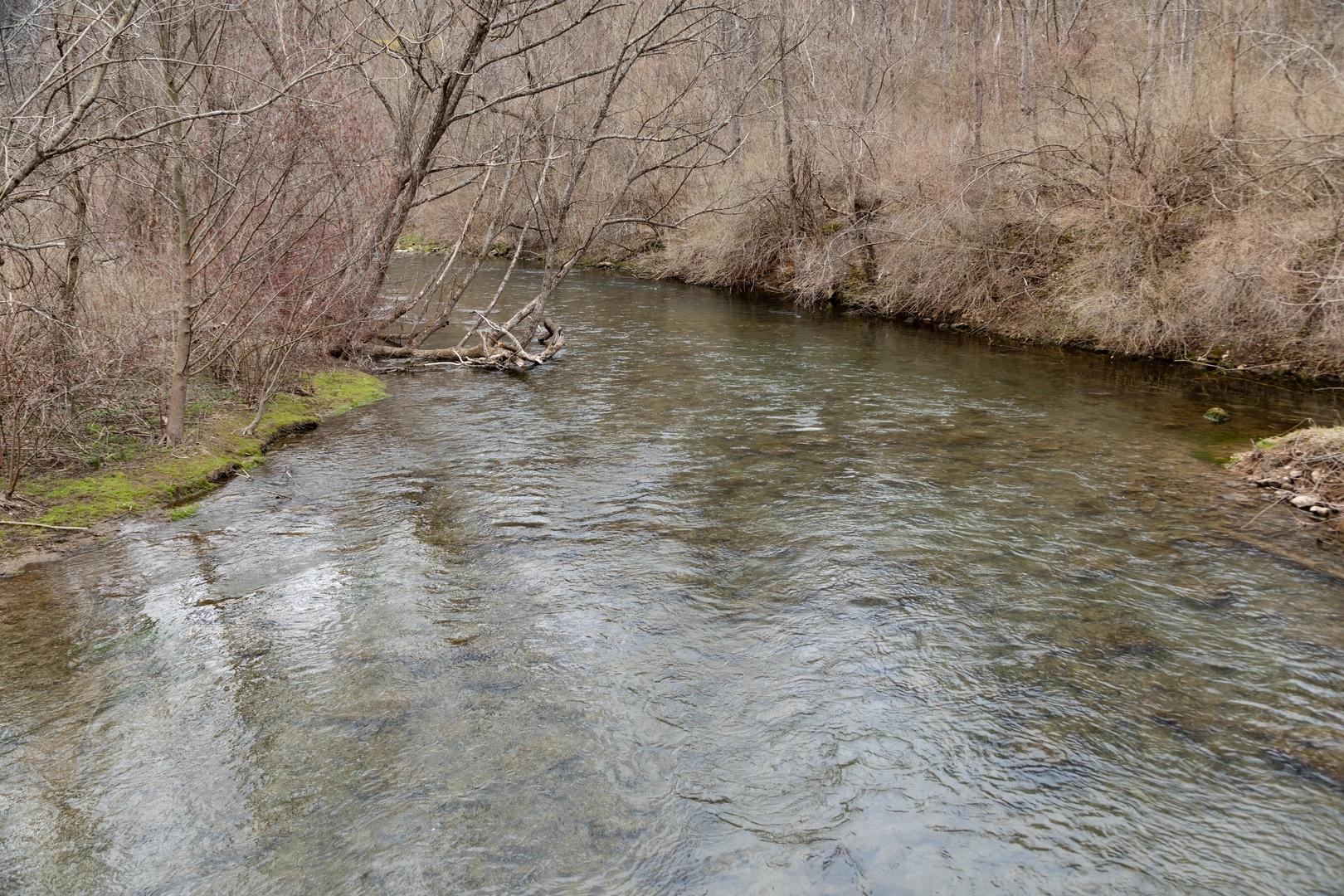 An image depicting the trail Spring Creek in Shooting Range and its surrounding area.