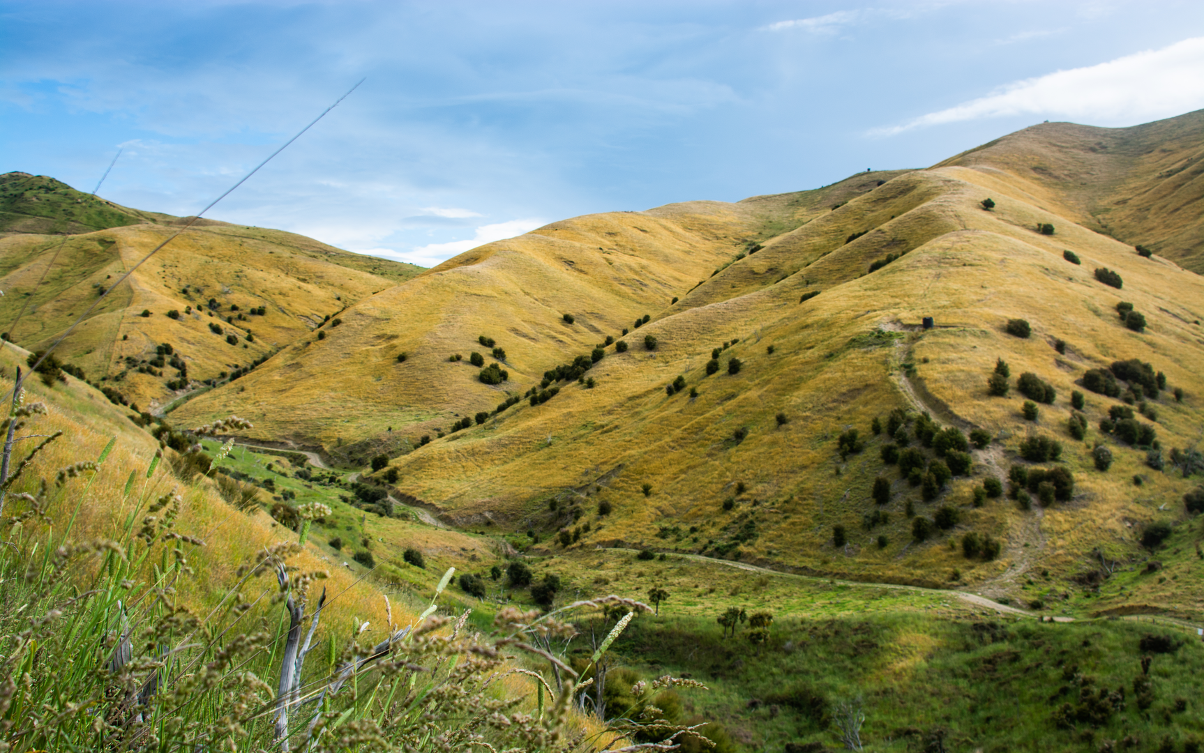 An image depicting the trail Covernent and Mount Vernon Track and its surrounding area.