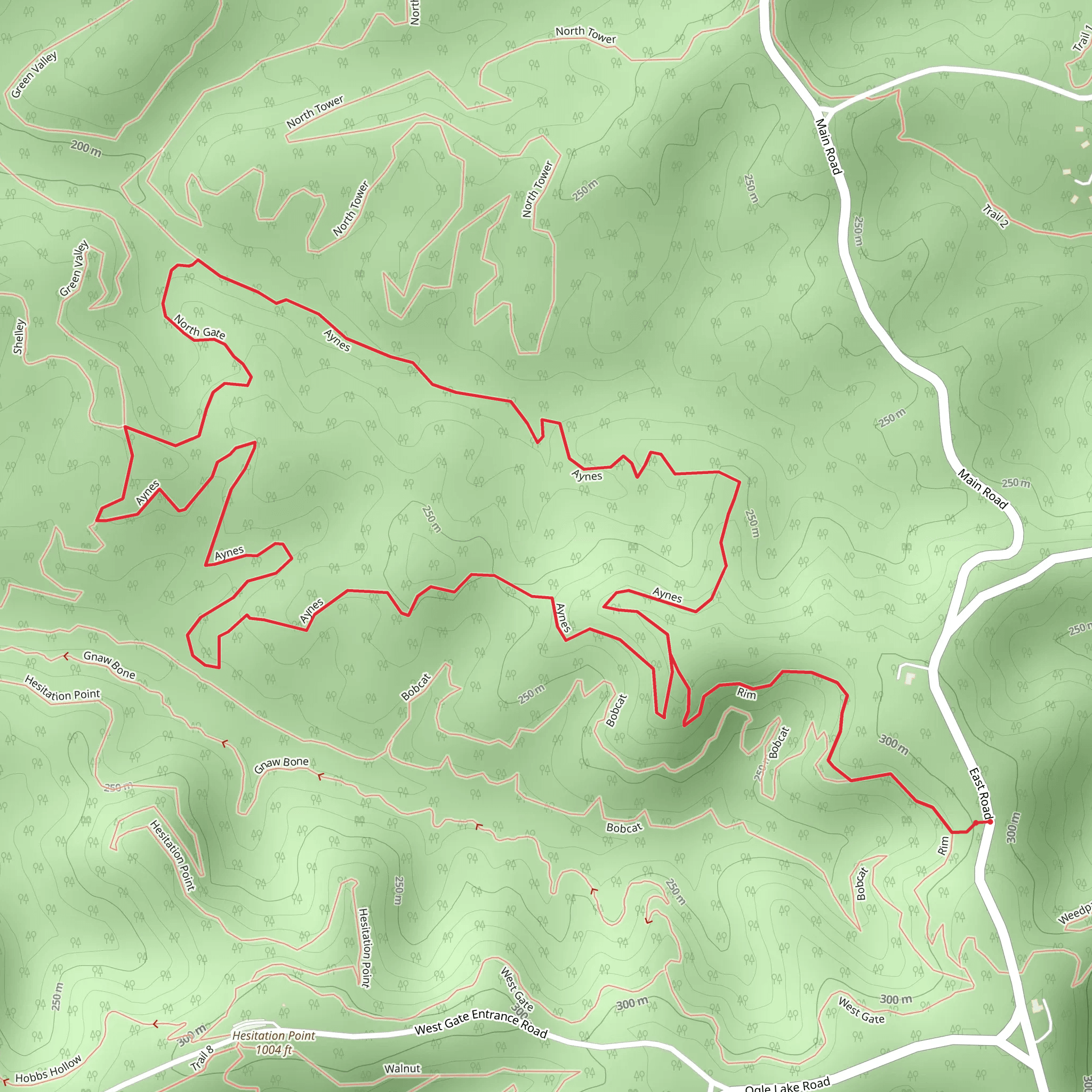 Aynes Loop mobile static map