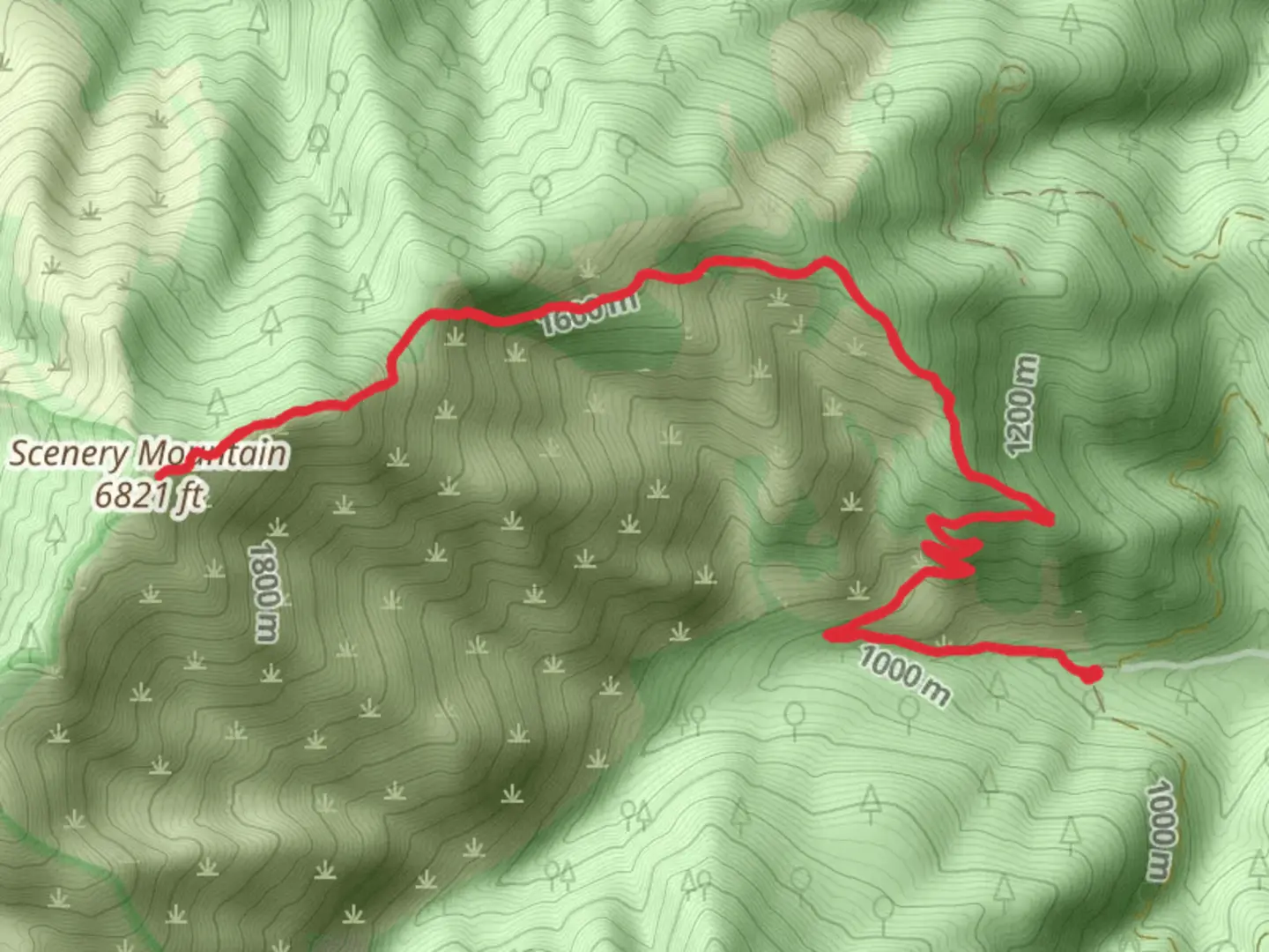 An image depicting the trail Scenery Mountain via Cedar Creek Trail and its surrounding area.