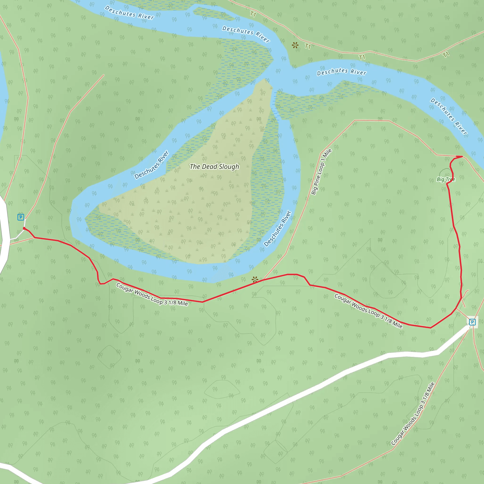Cougar Woods Loop mobile static map