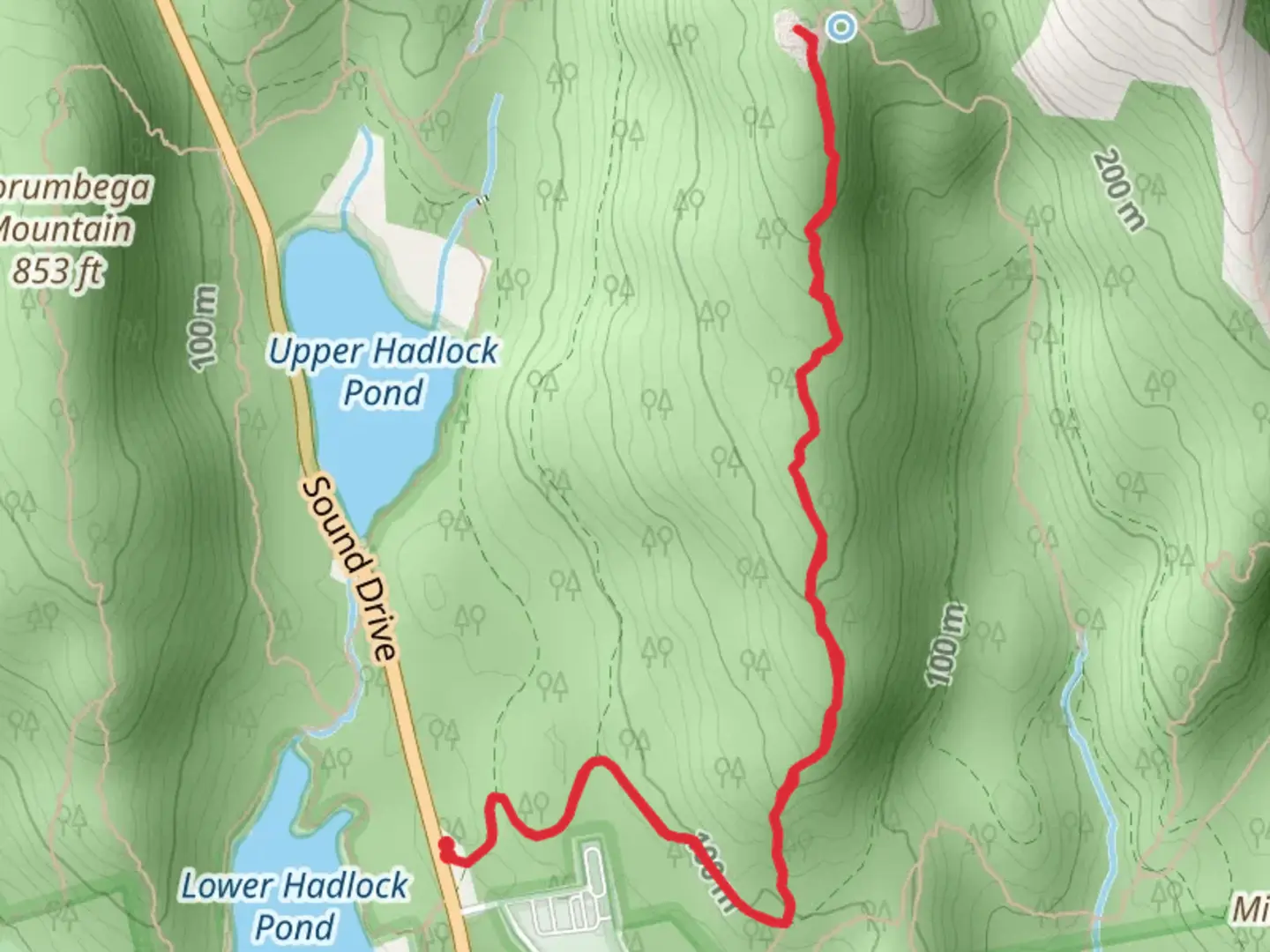 An image depicting the trail Cedar Swamp Mountain Trail and its surrounding area.