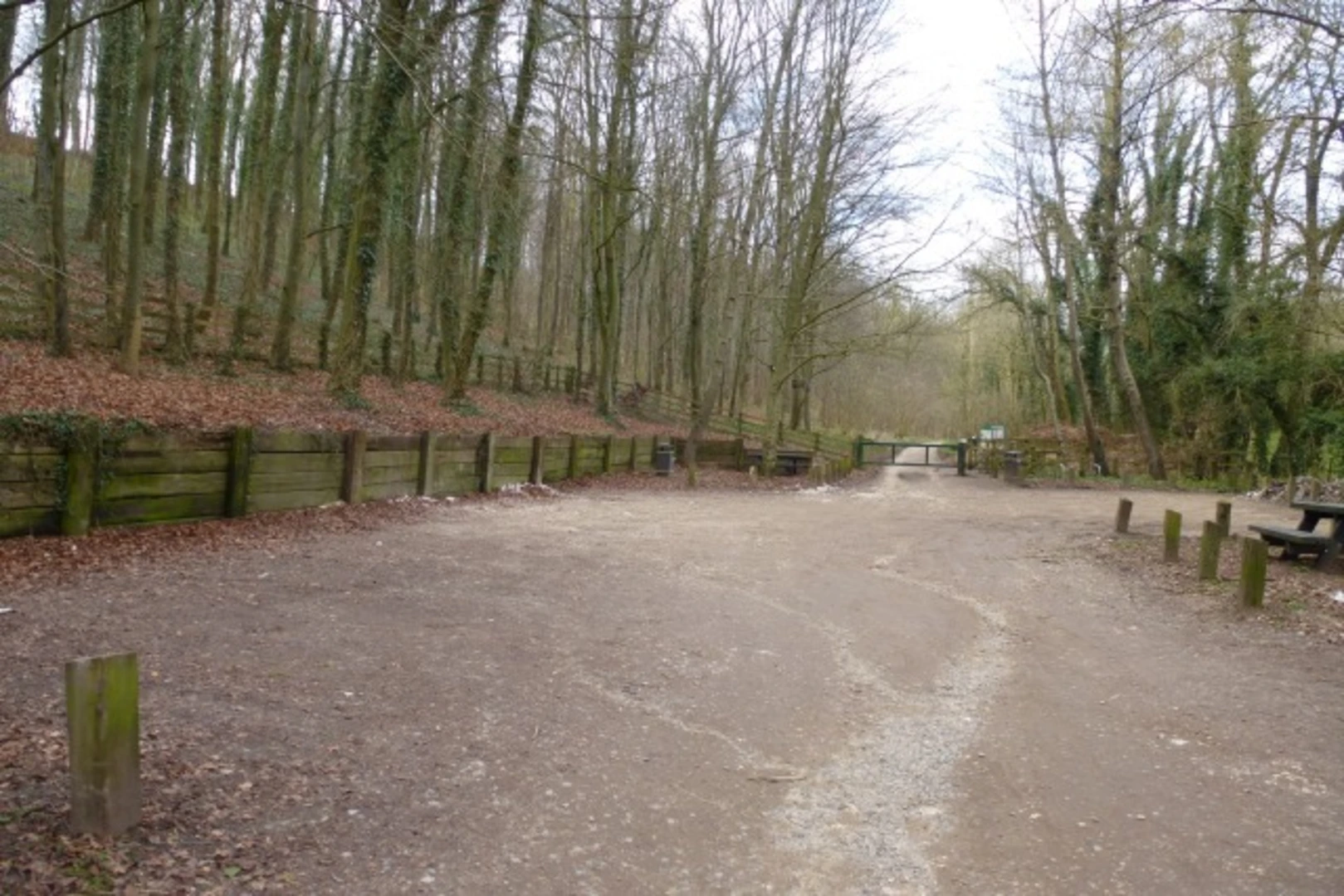 An image depicting the trail Millington Woods Walk and its surrounding area.