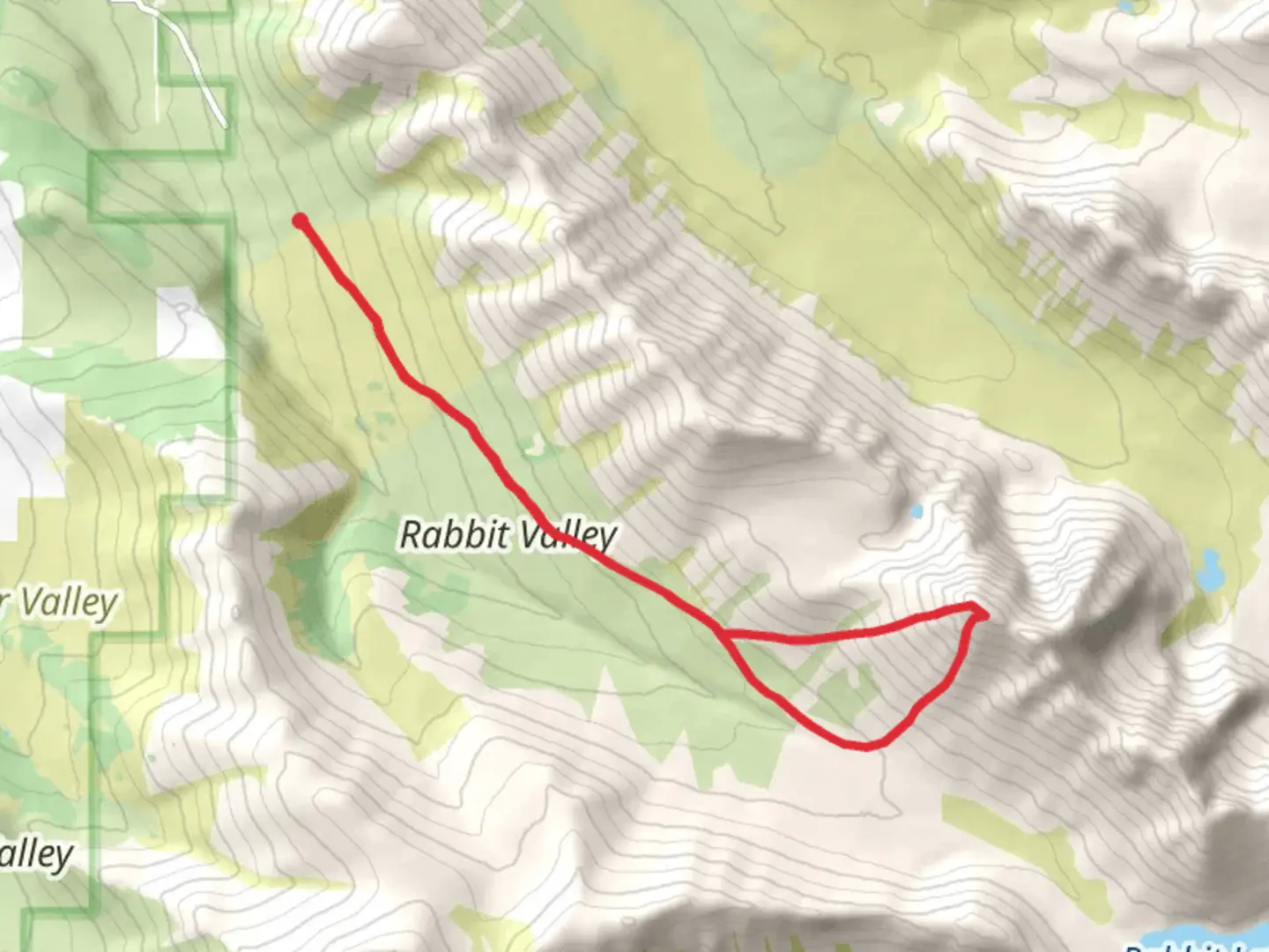 An image depicting the trail Ptarmigan Peak Loop and its surrounding area.