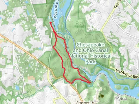 Potomac River and Swamp Trail Loop
