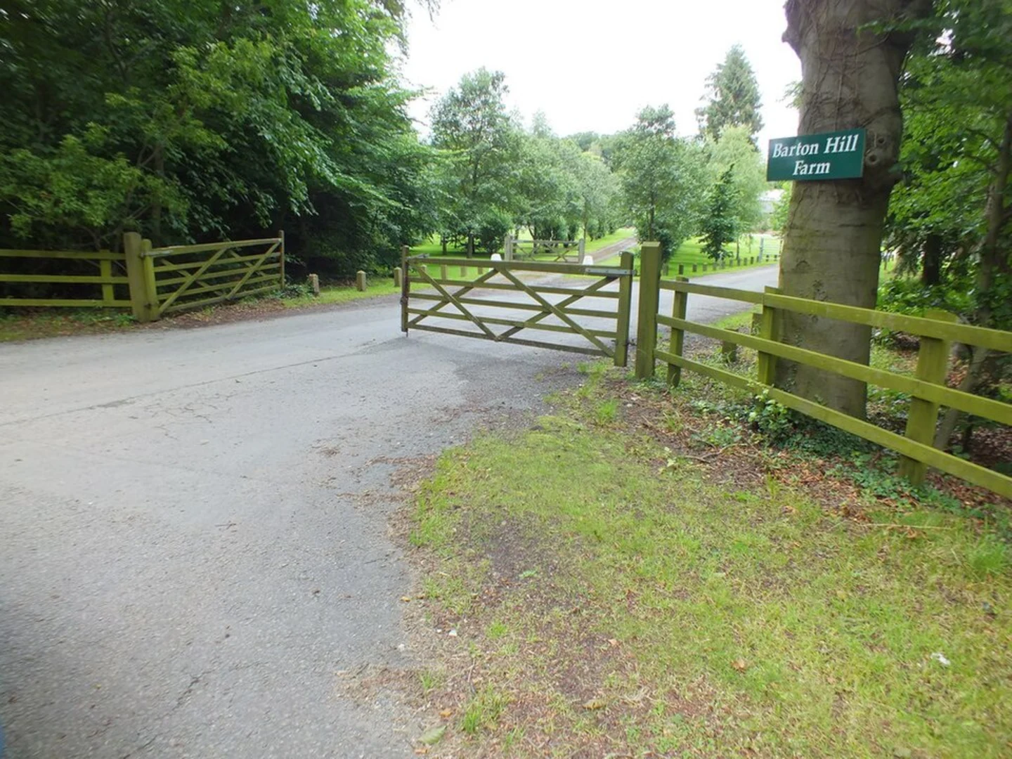 An image depicting the trail Barton Hill National Nature Reserve Loop and its surrounding area.