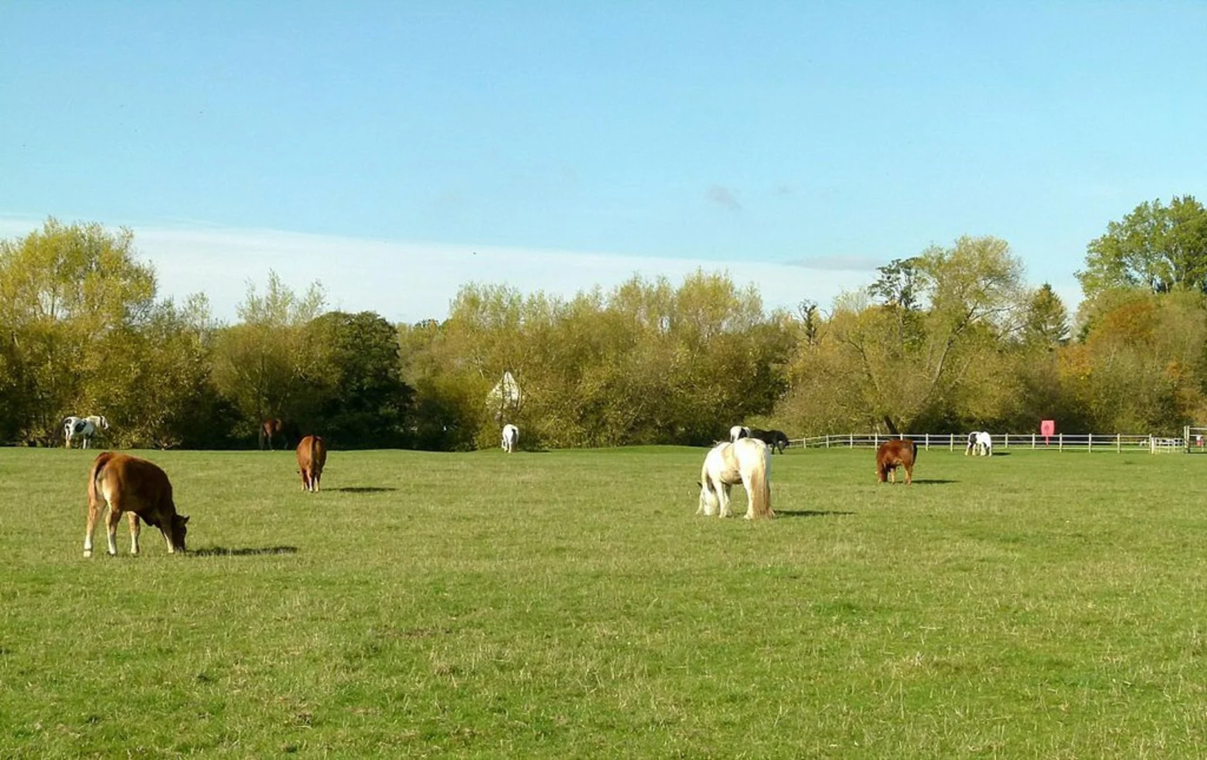 An image depicting the trail Port Meadow Loop and its surrounding area.